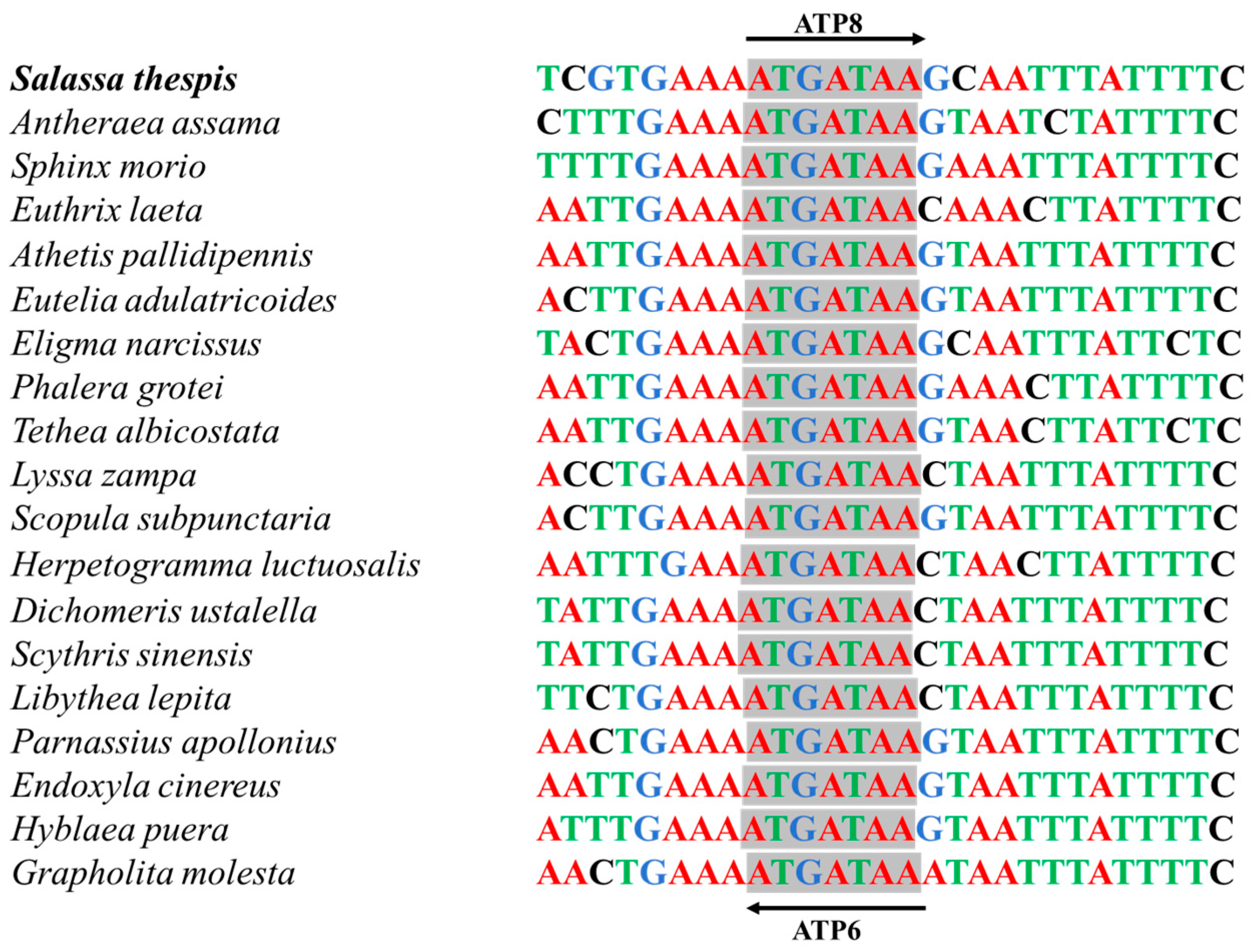 Diversity 16 00282 g004 Diversity 16 00282 g004