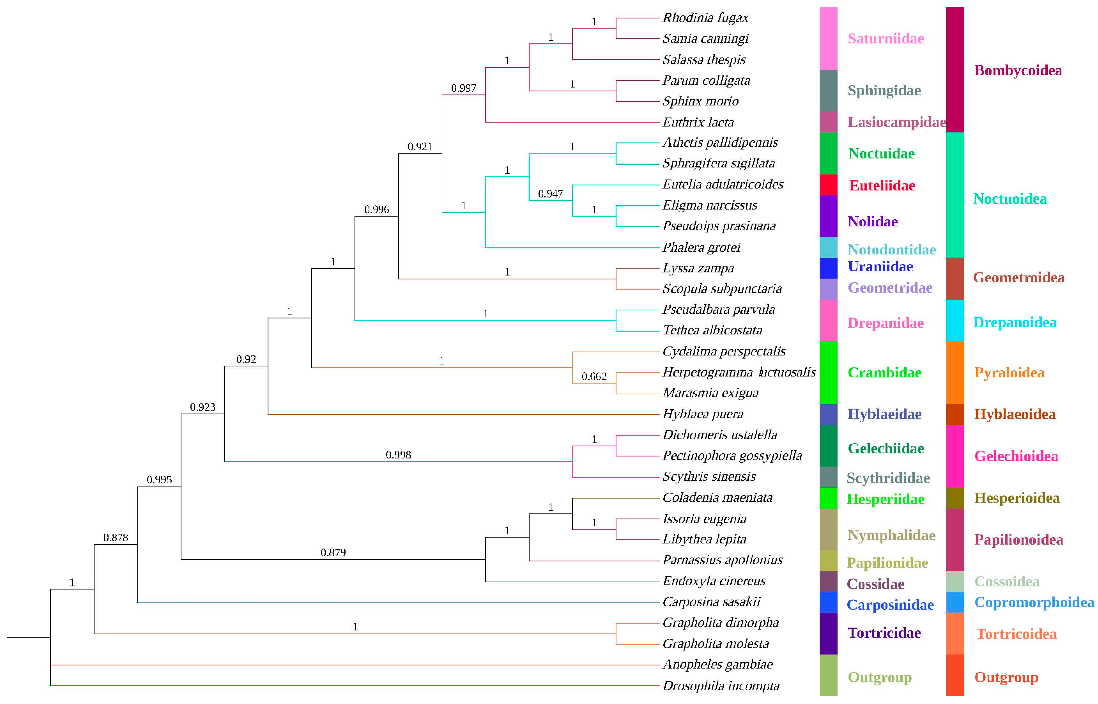 Diversity 16 00282 g006 Diversity 16 00282 g006