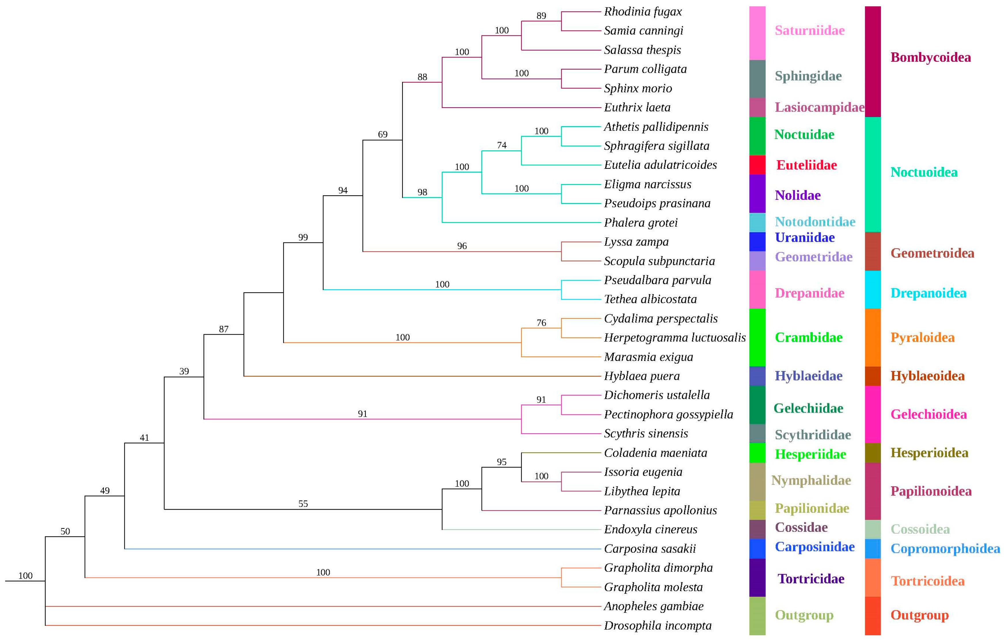Diversity 16 00282 g007 Diversity 16 00282 g007