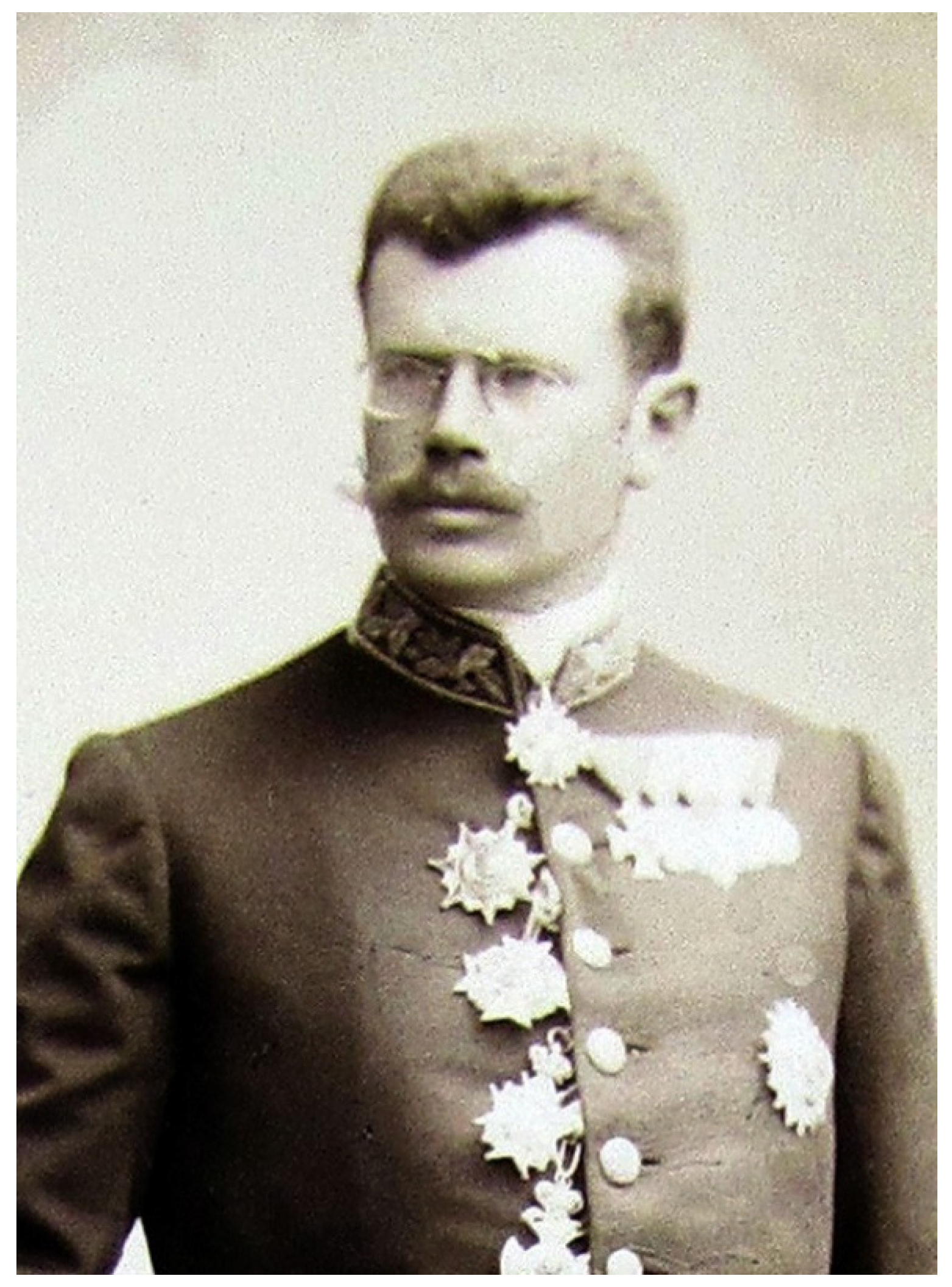 Diversity 16 00284 g003