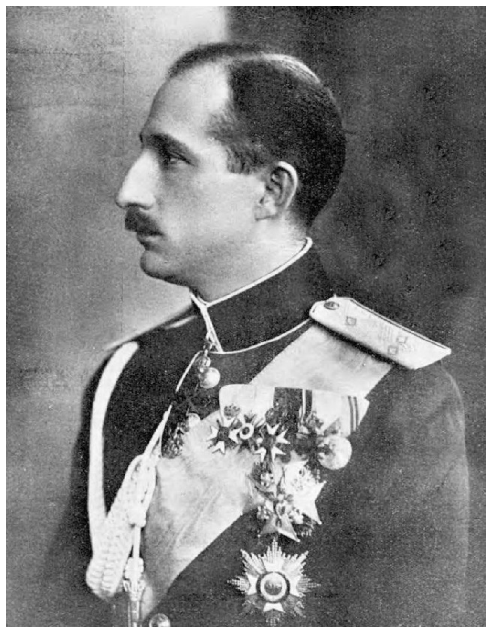 Diversity 16 00284 g005