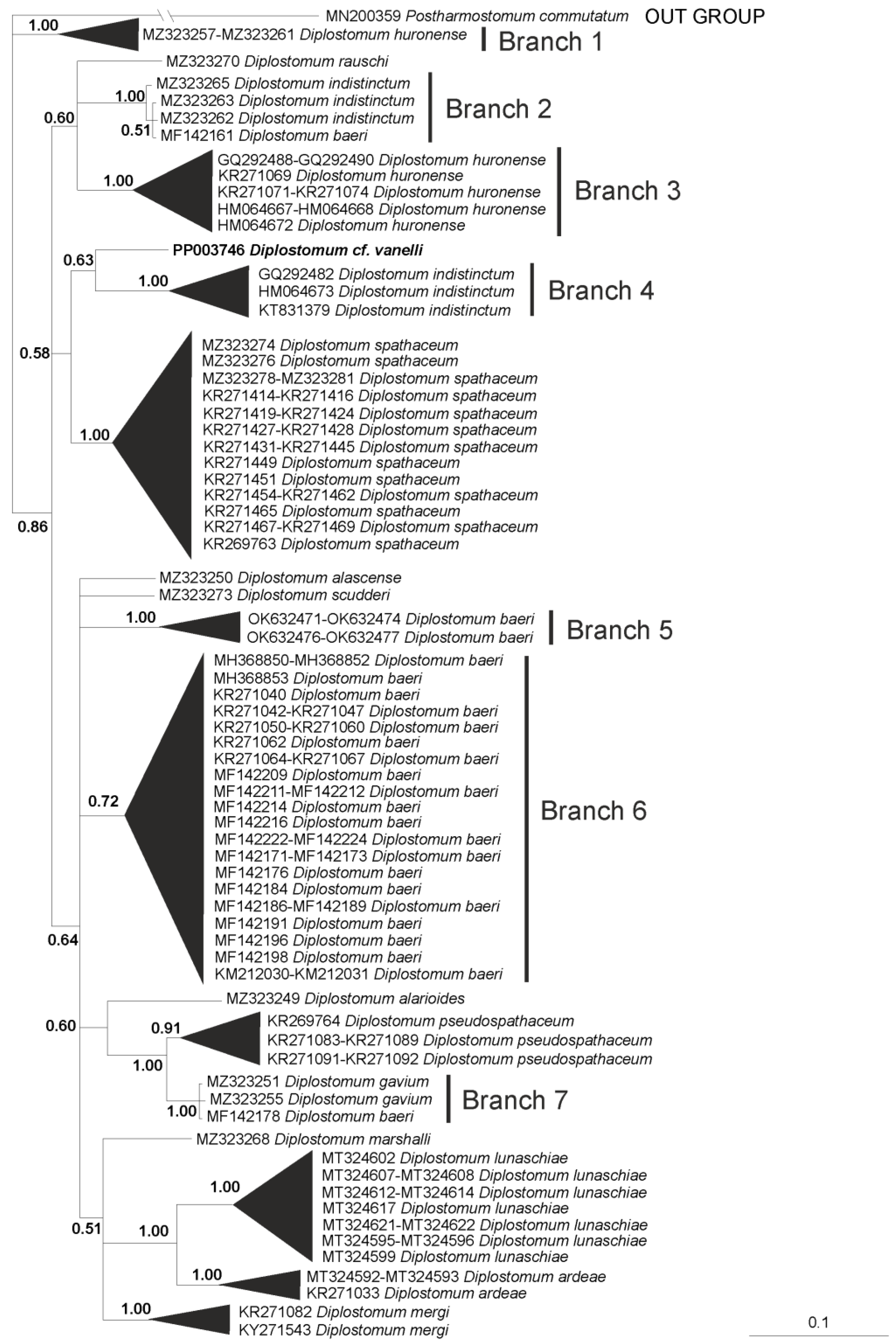 Diversity 16 00286 g003