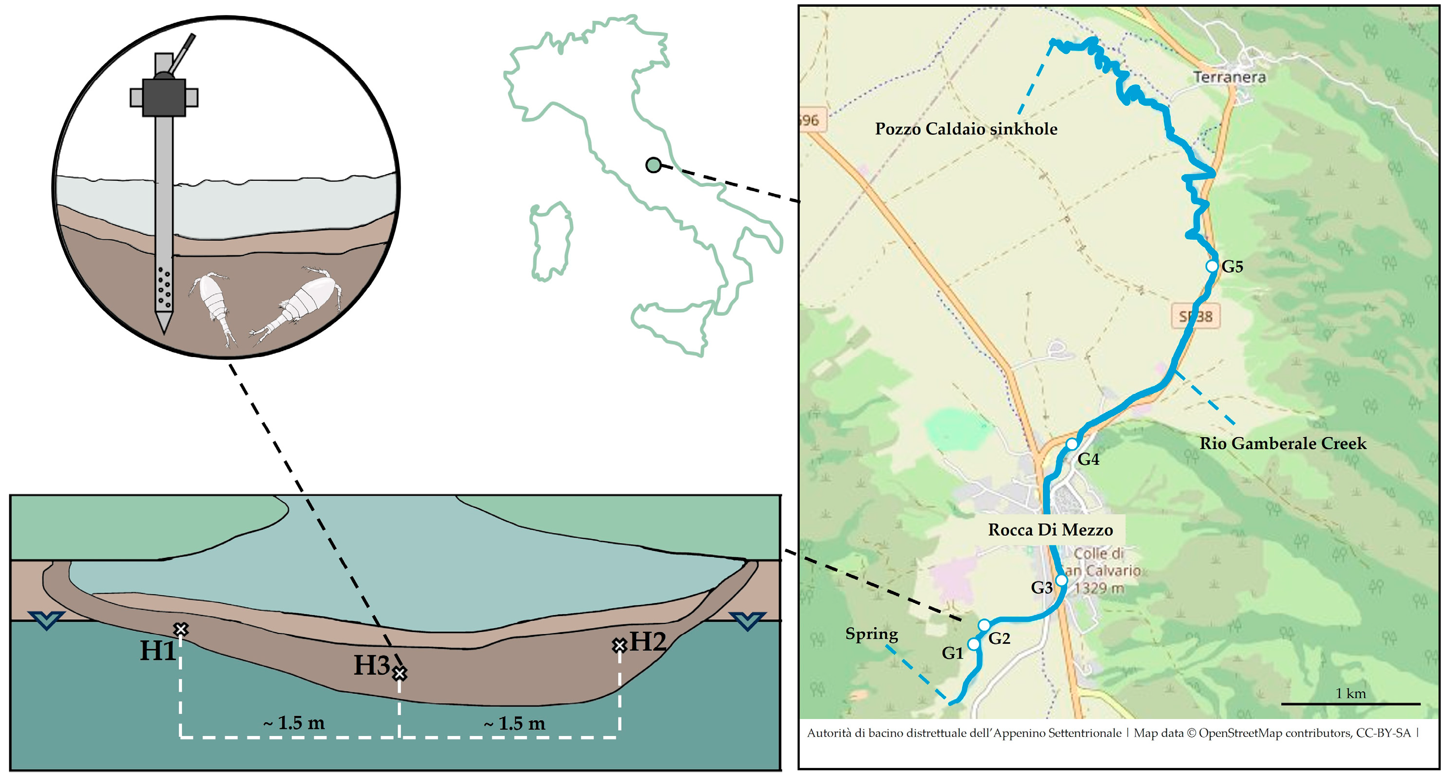 Diversity 16 00289 g001