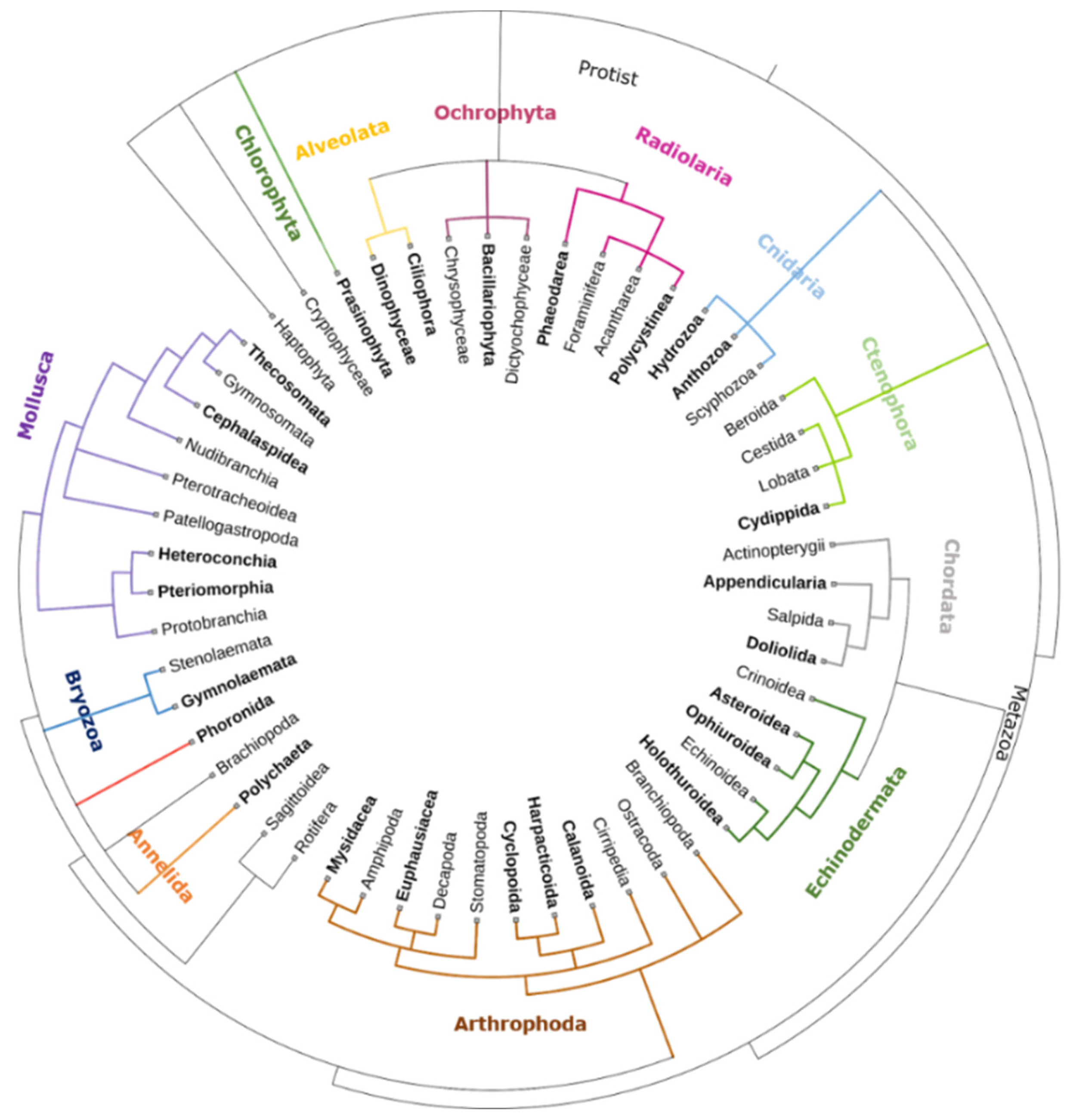 Diversity 16 00293 g004 Diversity 16 00293 g004