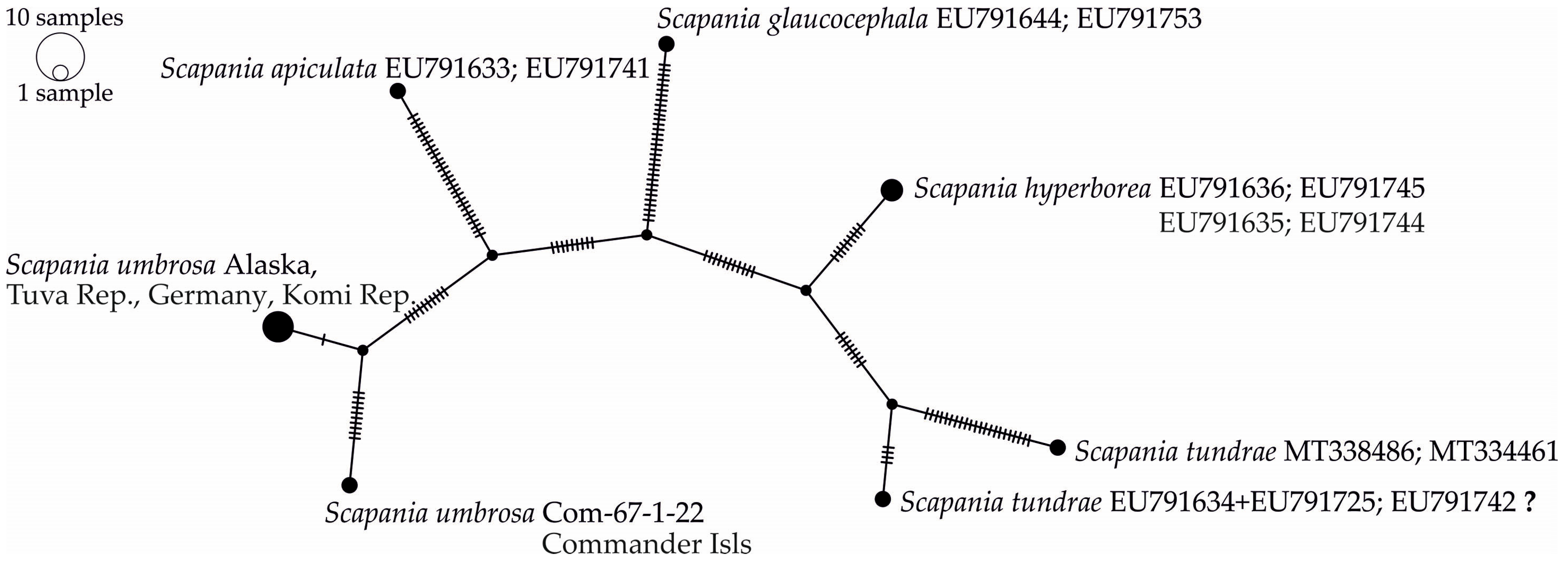 Diversity 16 00297 g002 Diversity 16 00297 g002