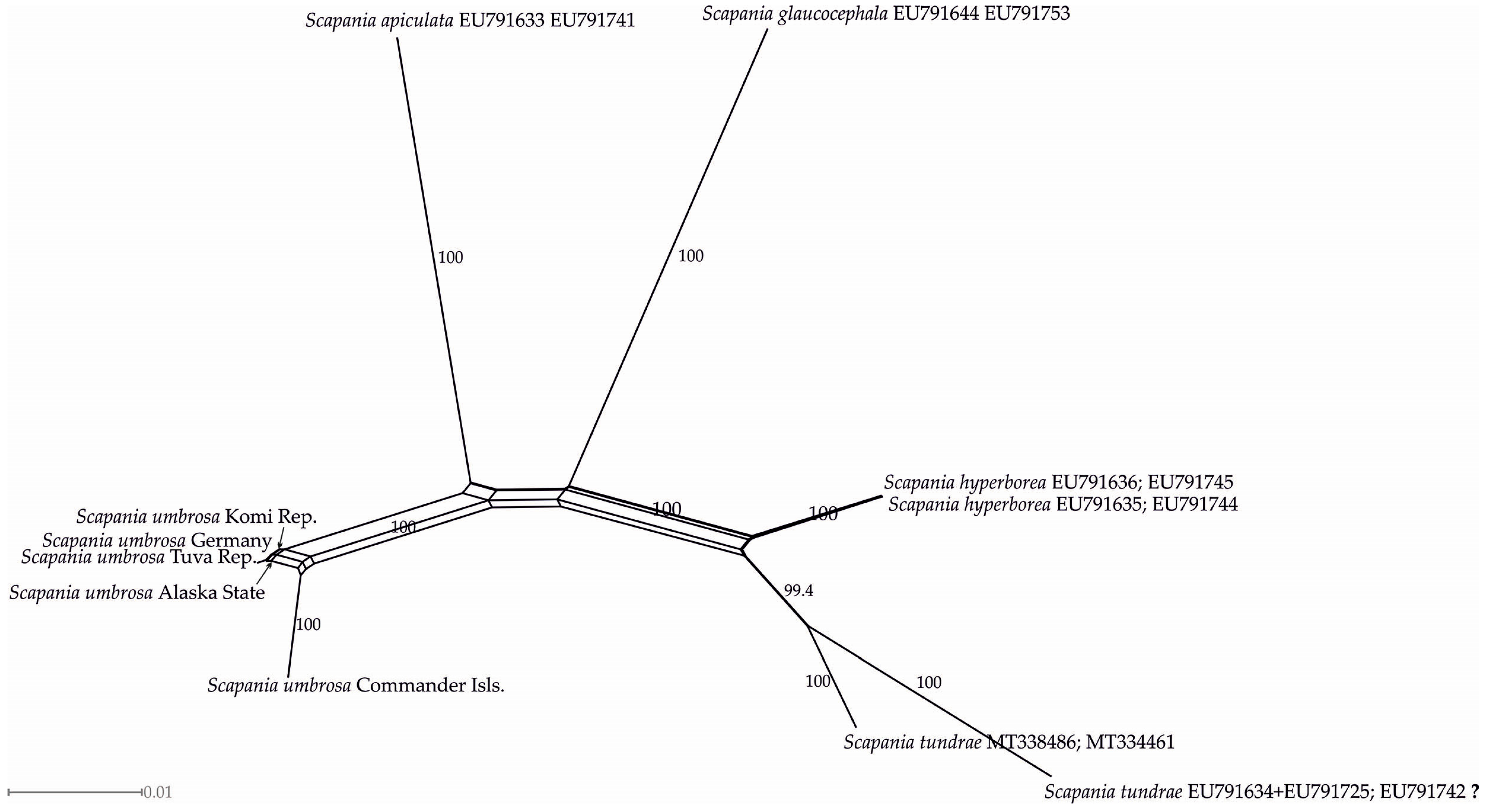 Diversity 16 00297 g003 Diversity 16 00297 g003