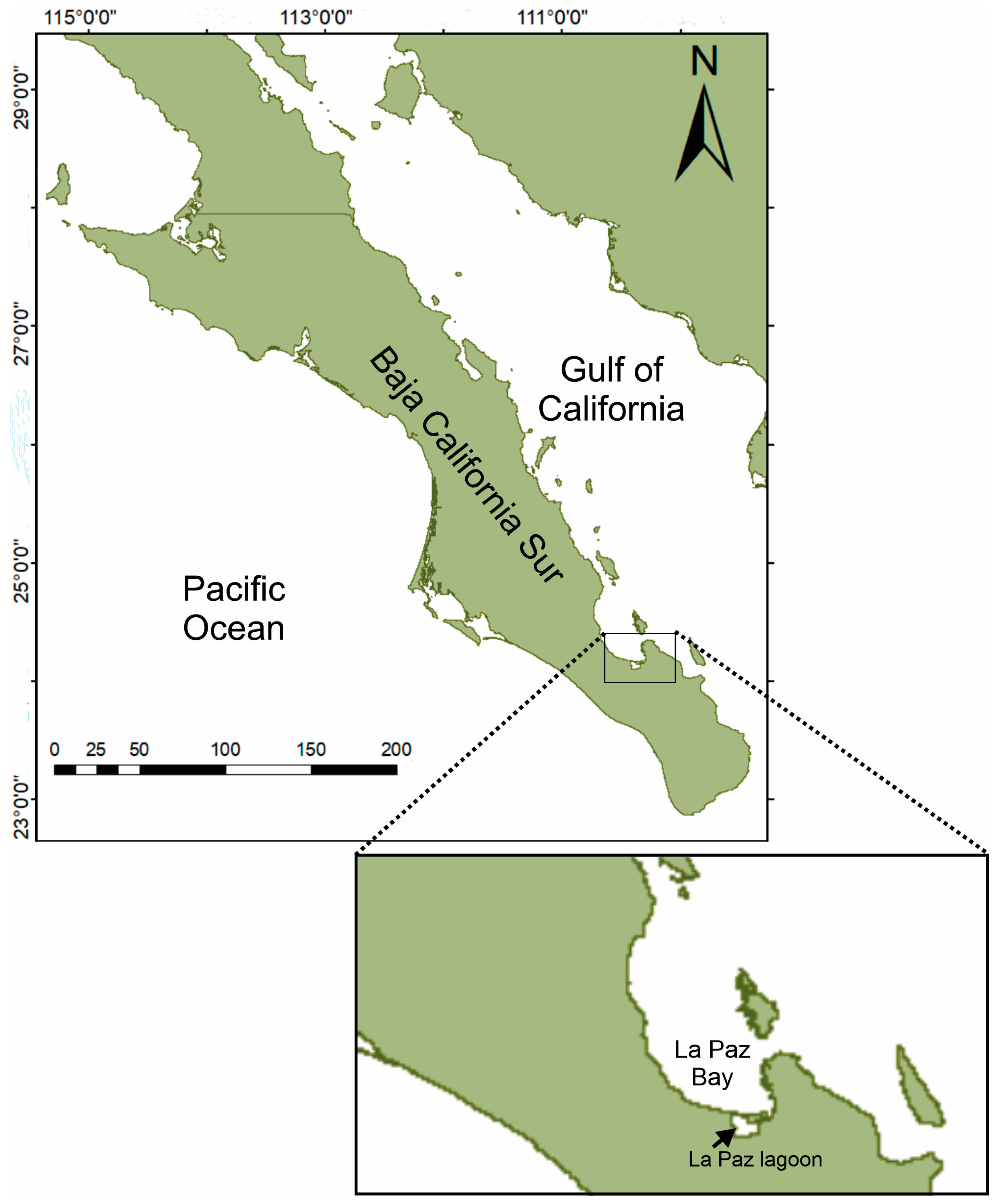 Diversity 16 00302 g001