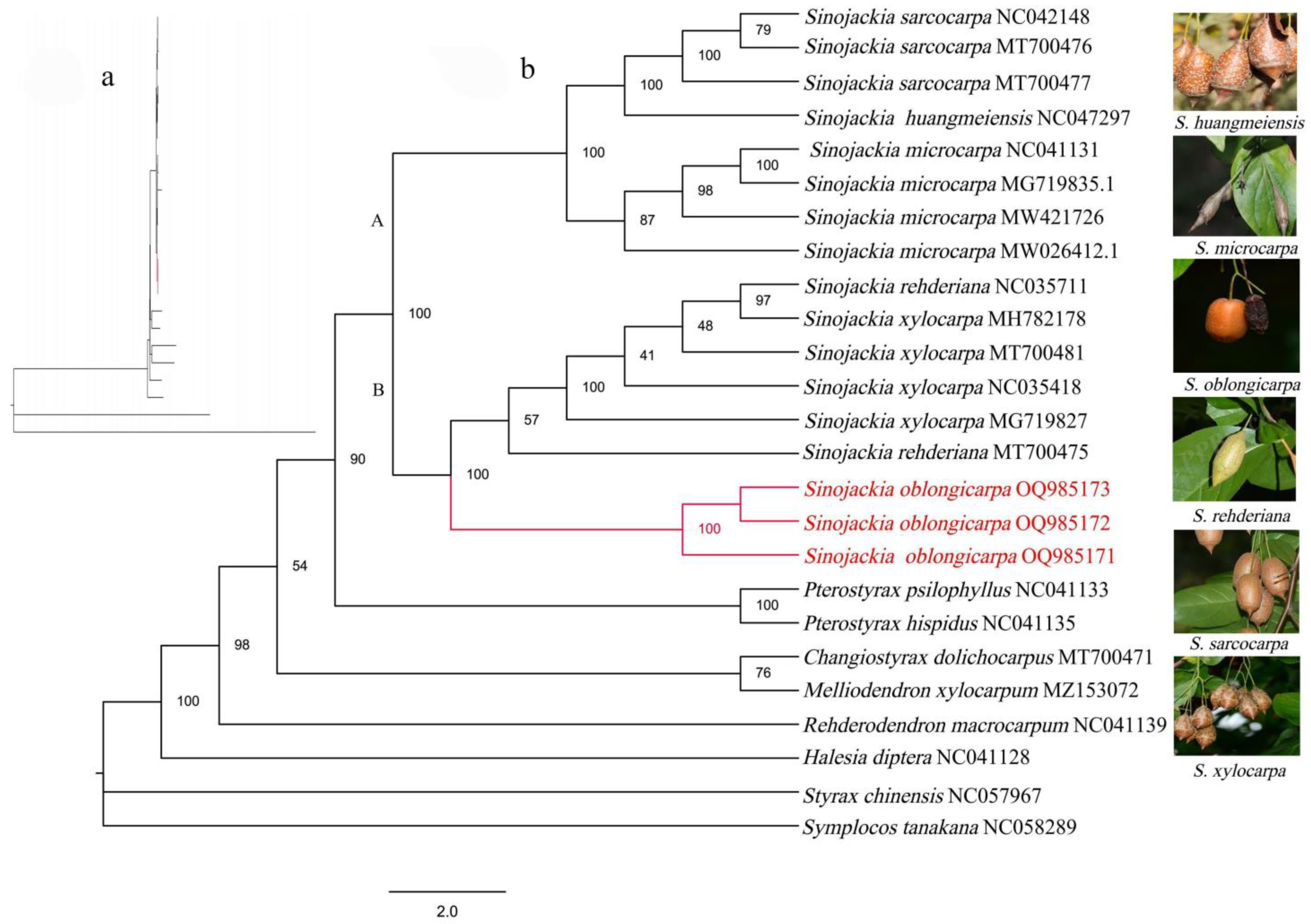 Diversity 16 00305 g006 Diversity 16 00305 g006