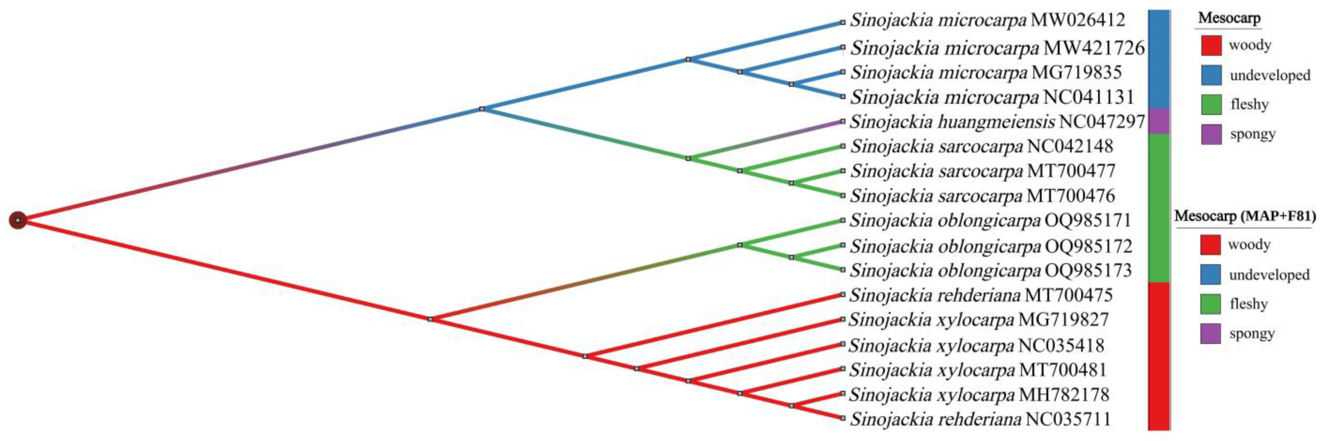 Diversity 16 00305 g007 Diversity 16 00305 g007