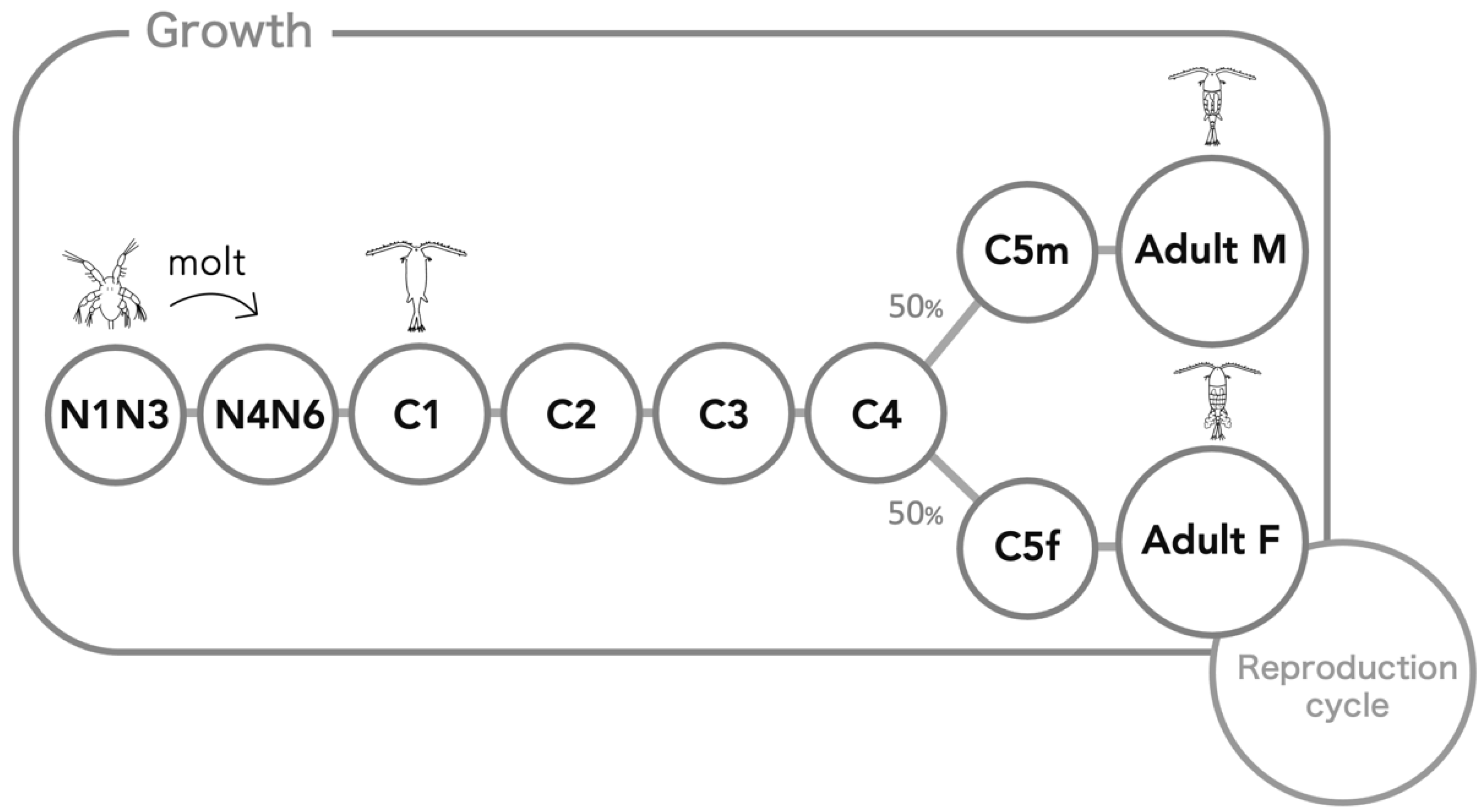 Diversity 16 00309 g001