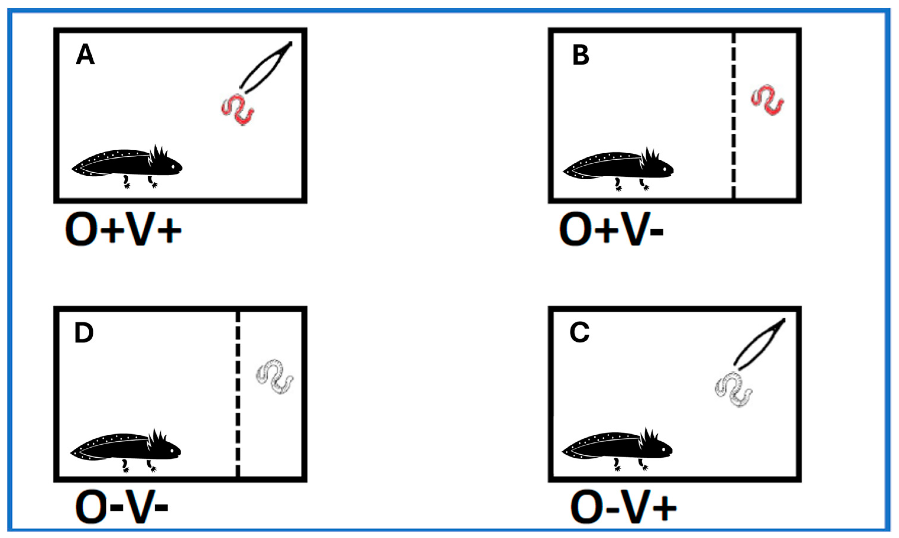 Diversity 16 00312 g001