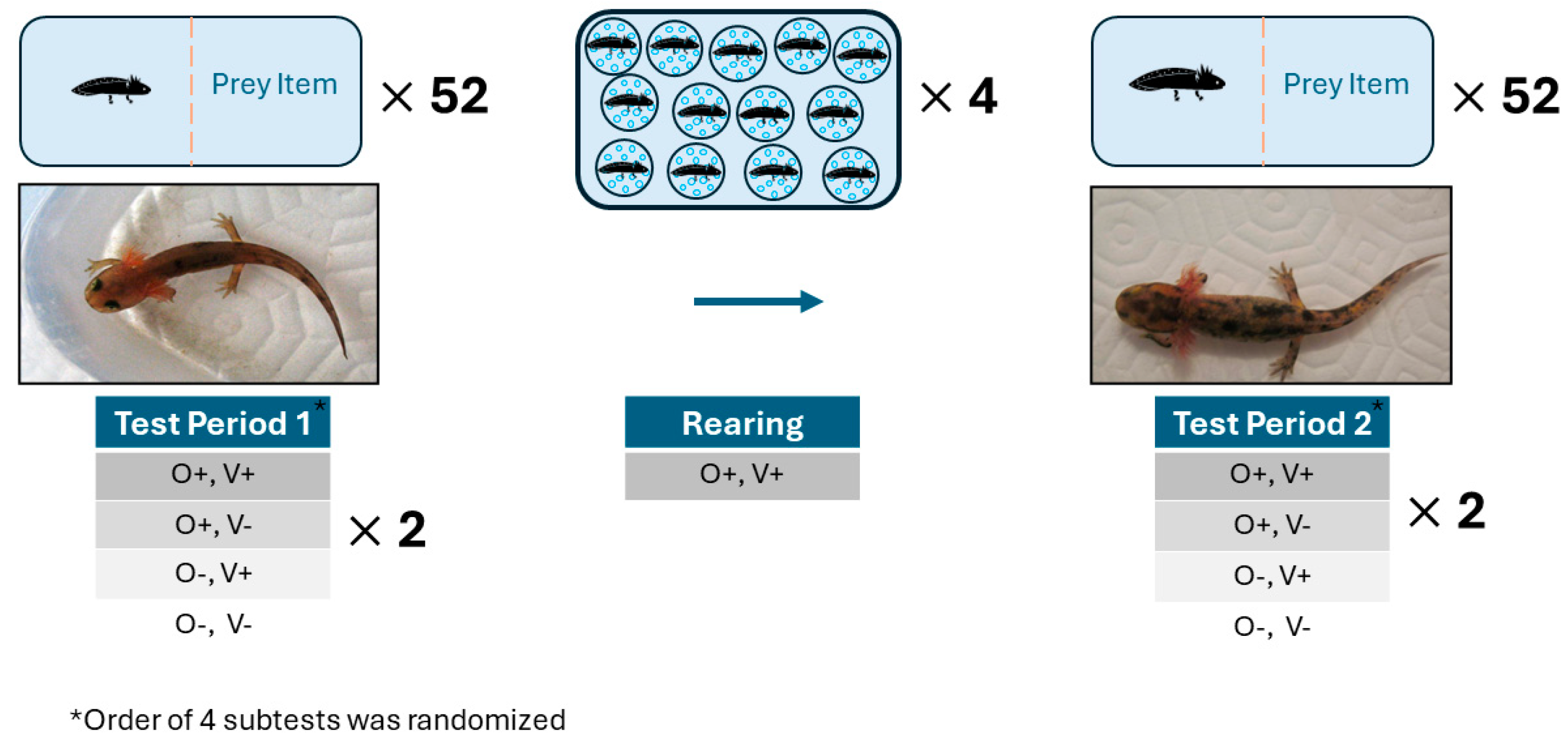 Diversity 16 00312 g002