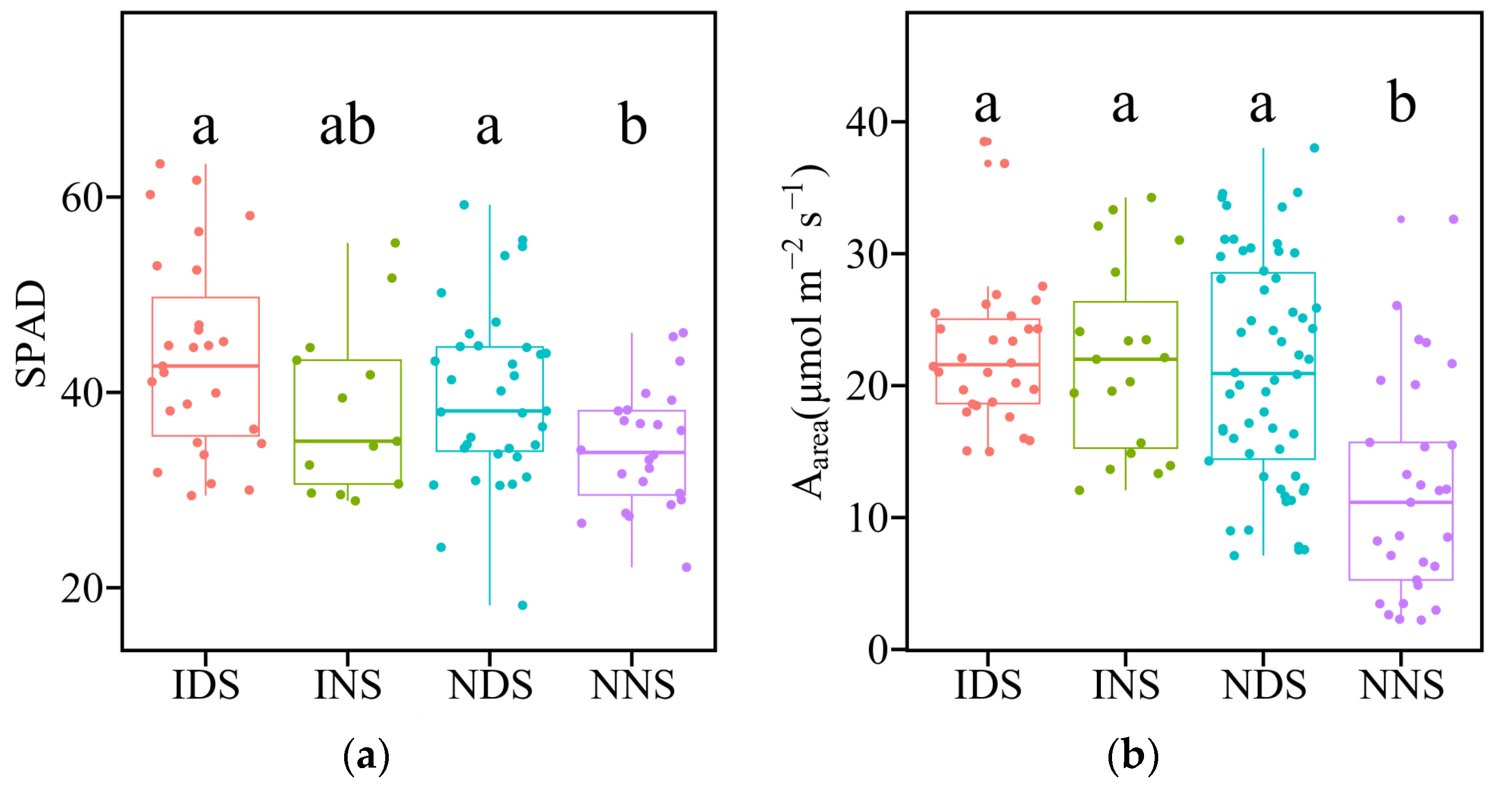 Diversity 16 00317 g004a