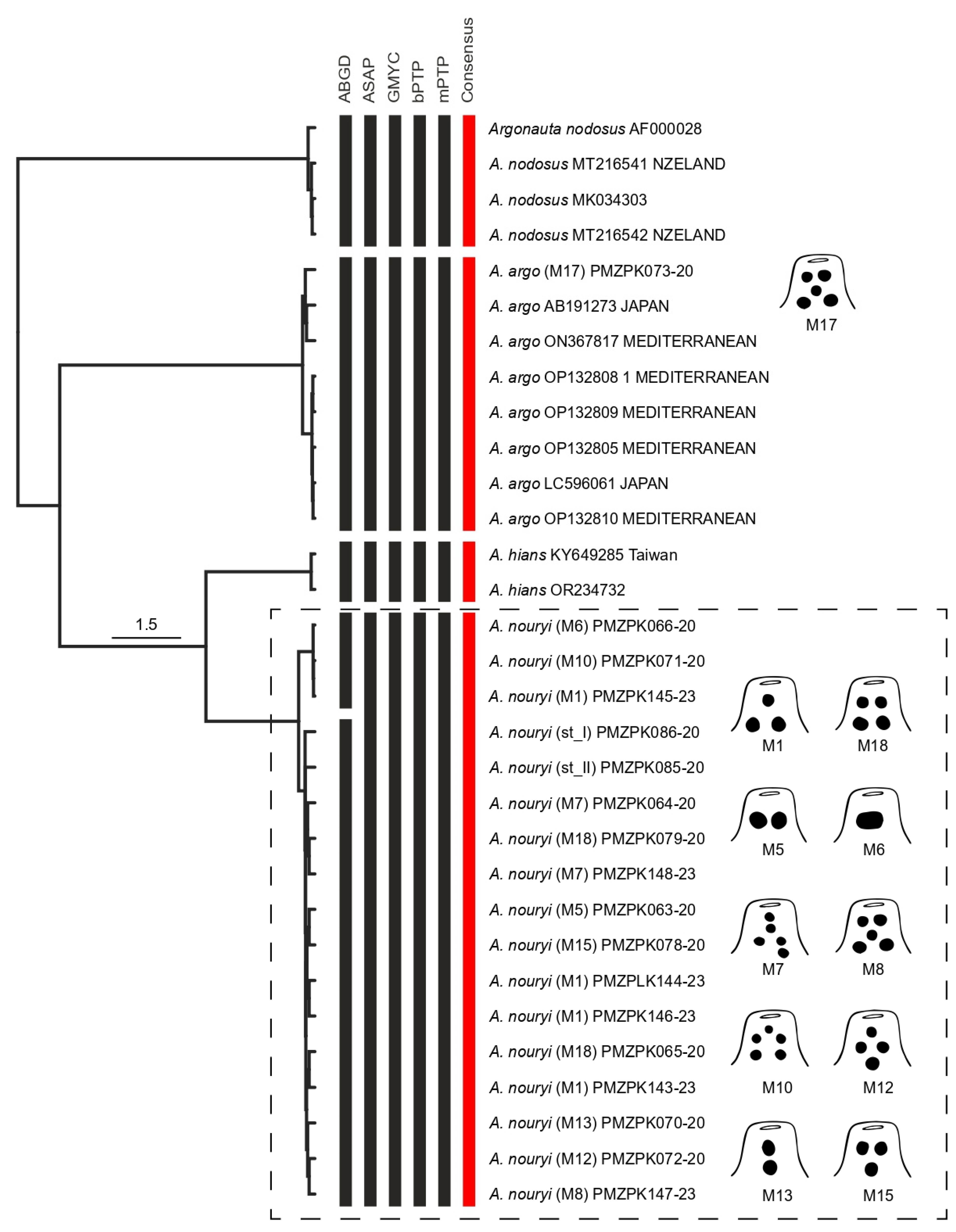 Diversity 16 00320 g004