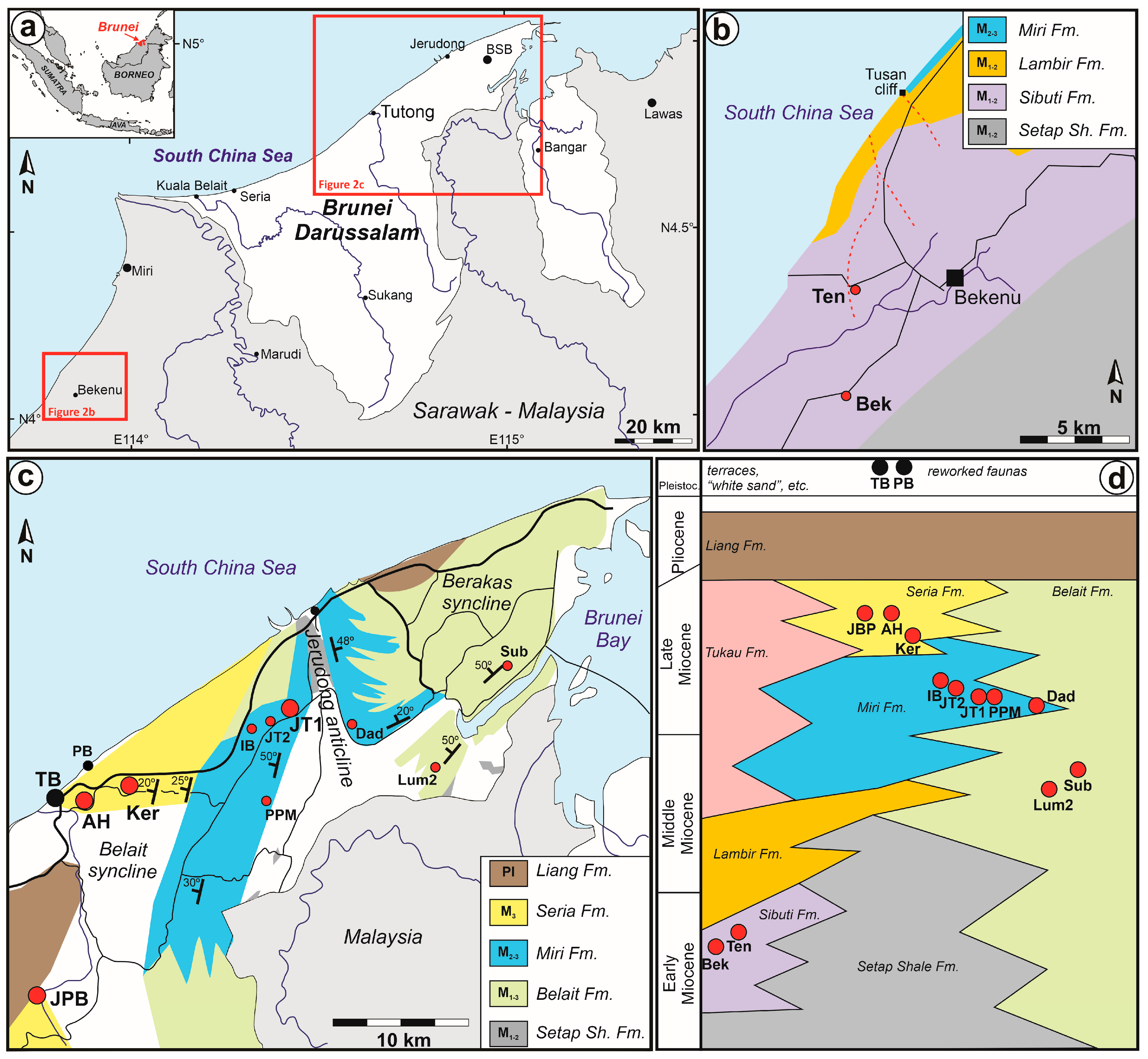 Diversity 16 00323 g002