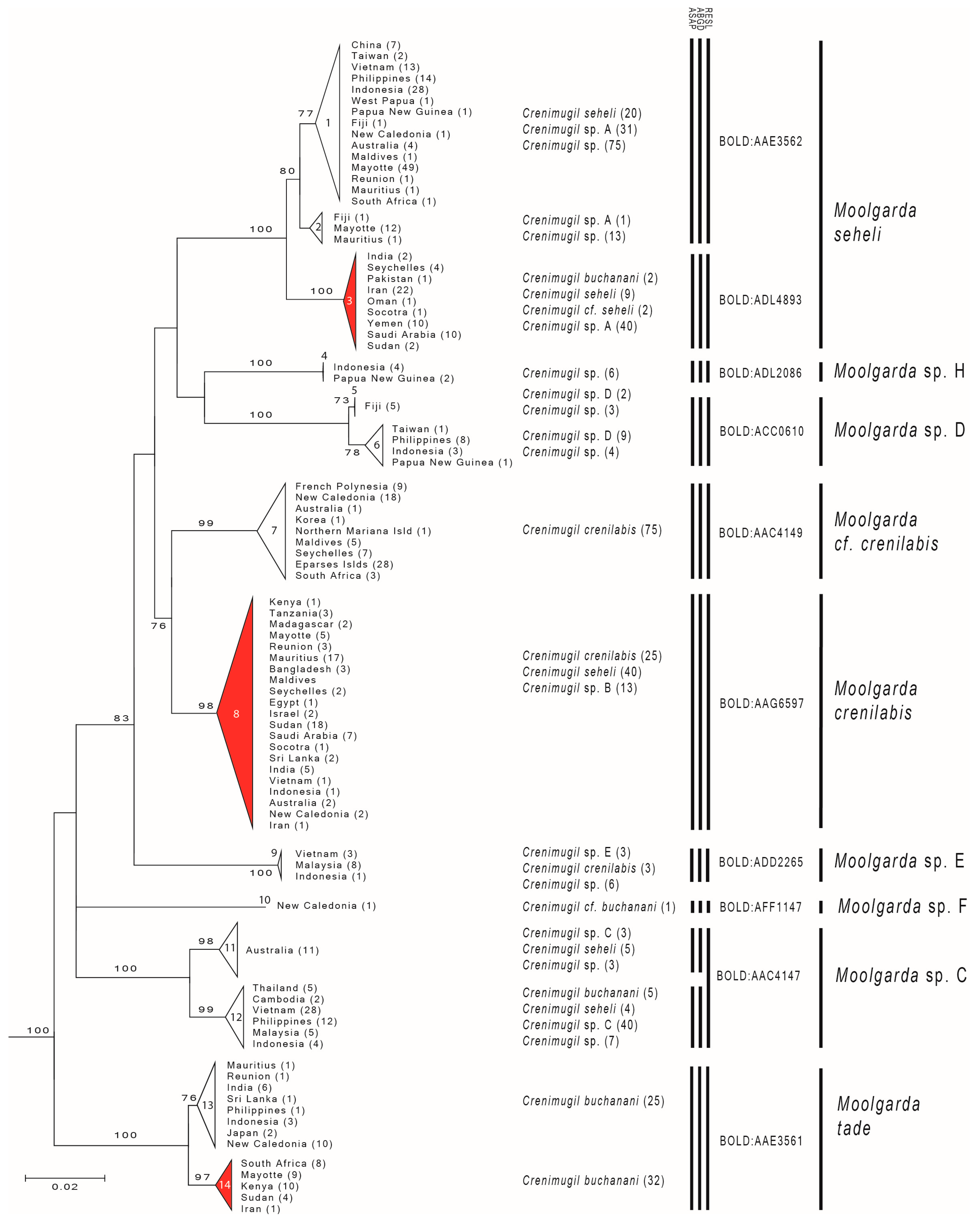 Diversity 16 00325 g001