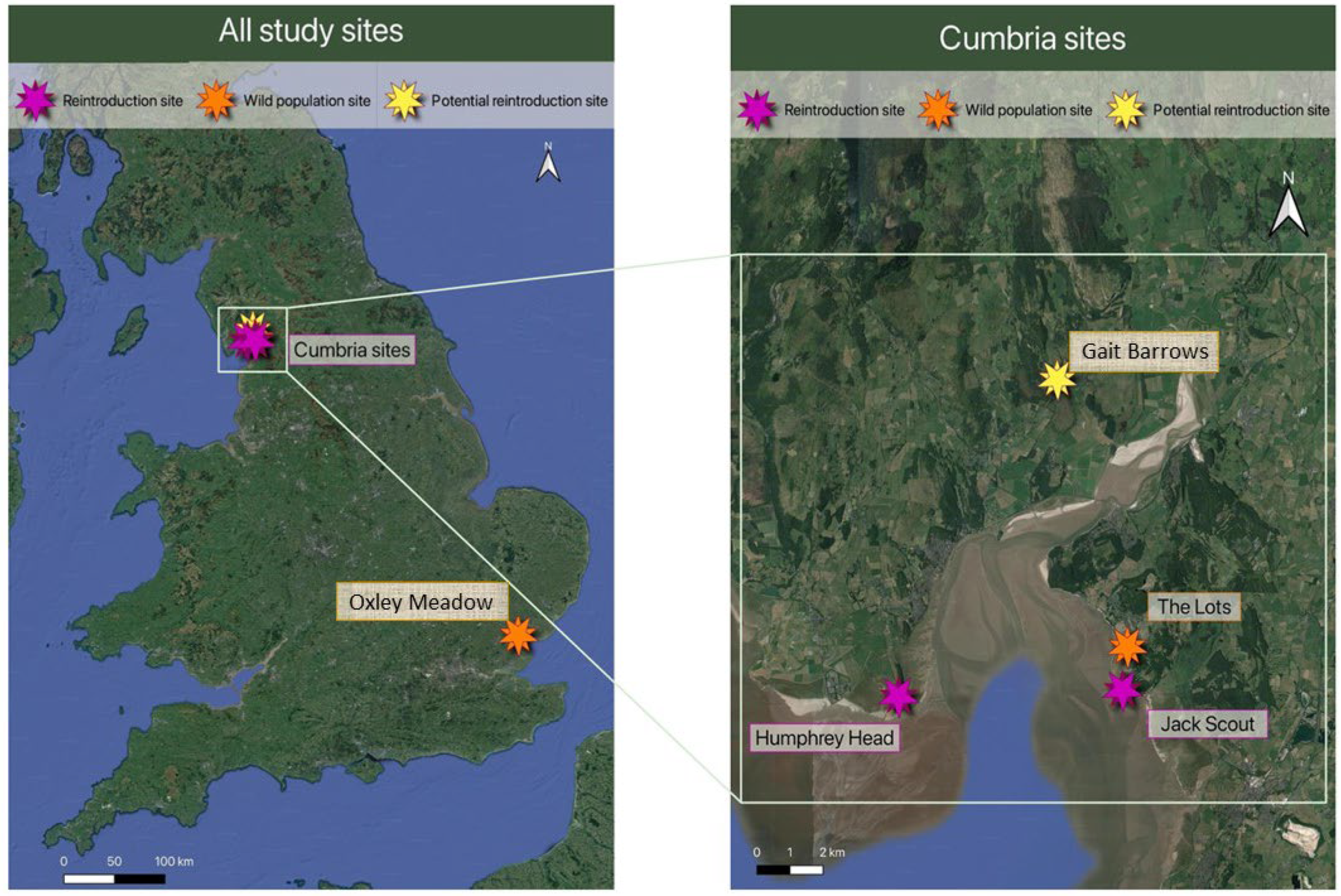 Diversity 16 00327 g003 Diversity 16 00327 g003