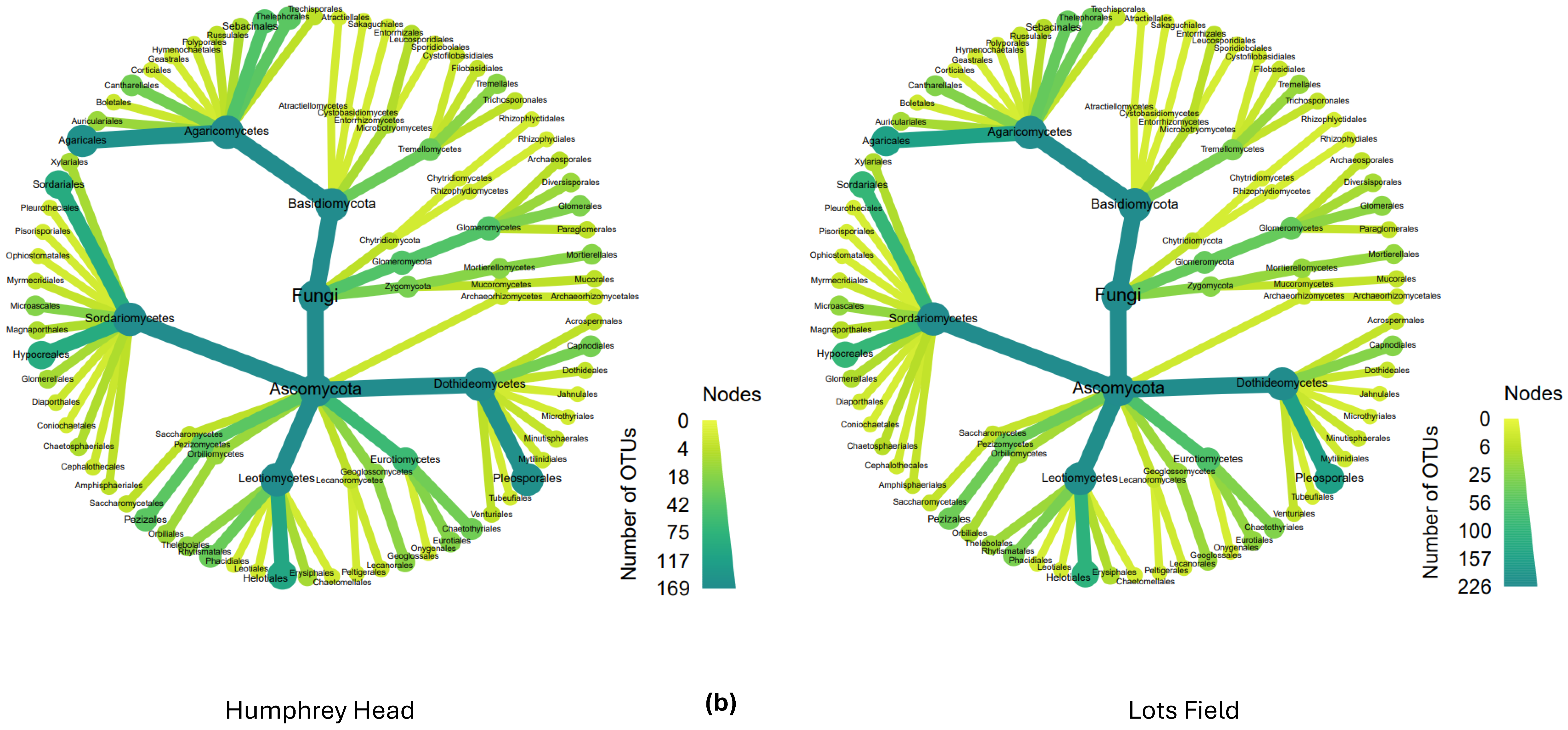 Diversity 16 00327 g006b Diversity 16 00327 g006b