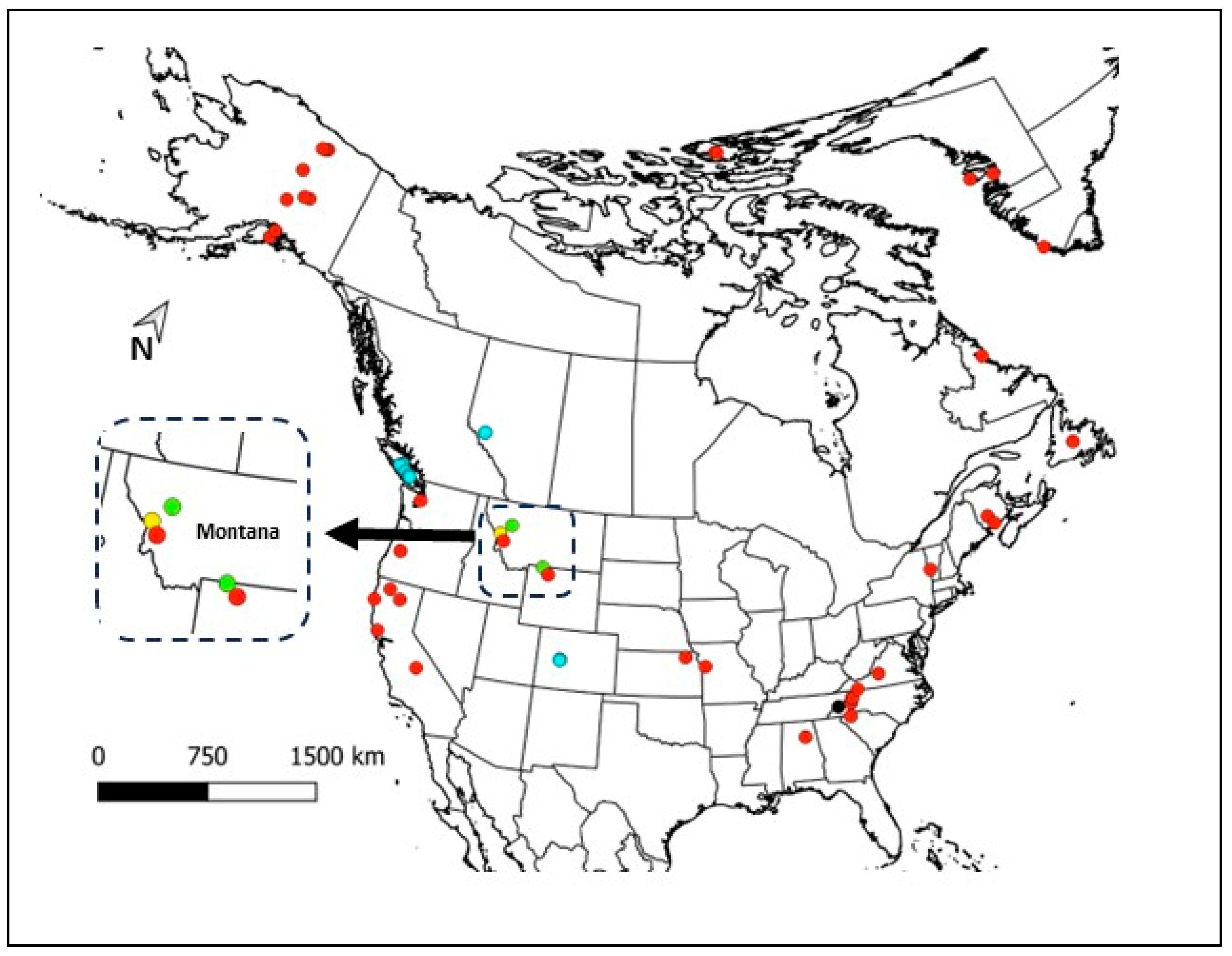 Diversity 16 00334 g003