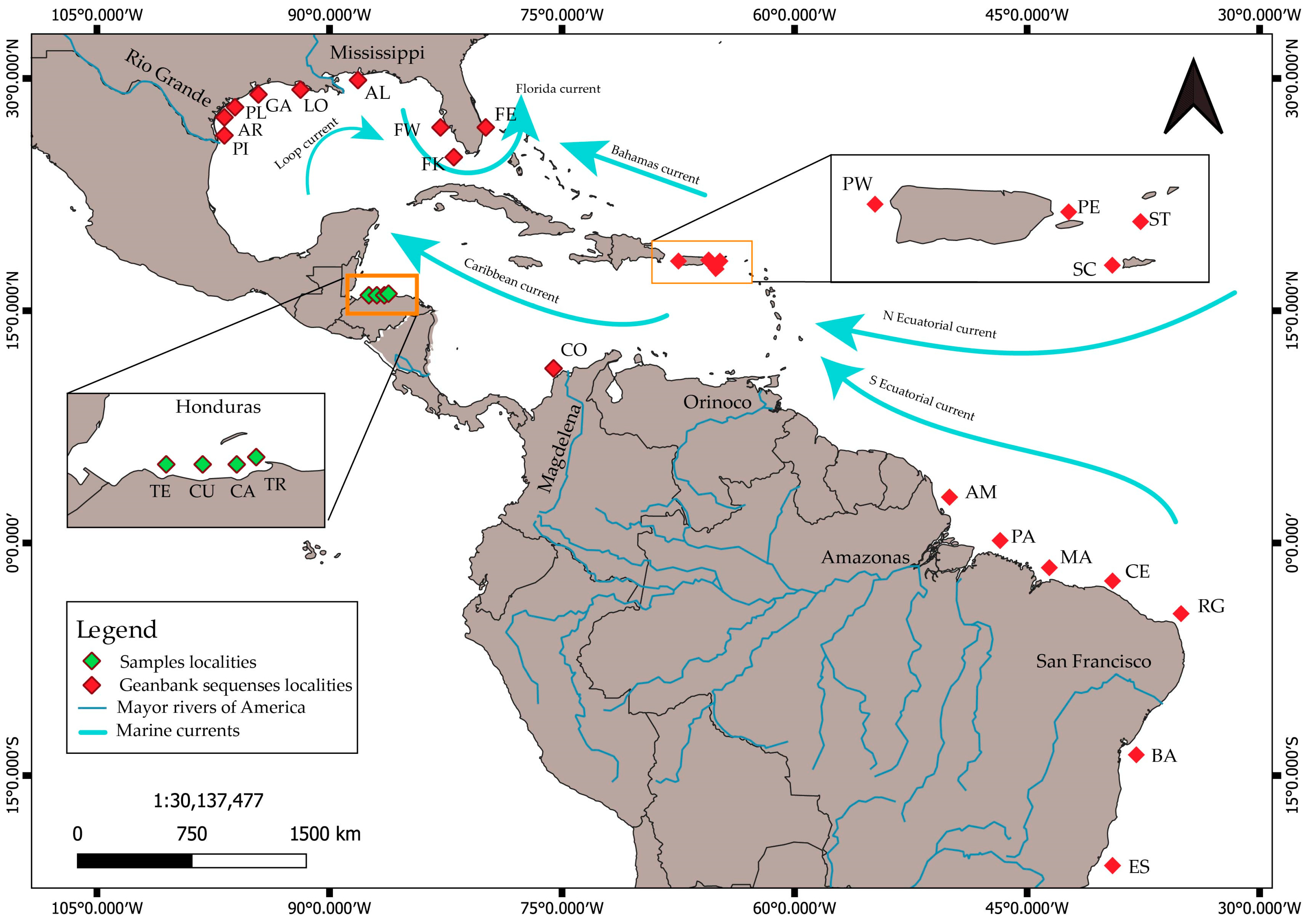 Diversity 16 00336 g001