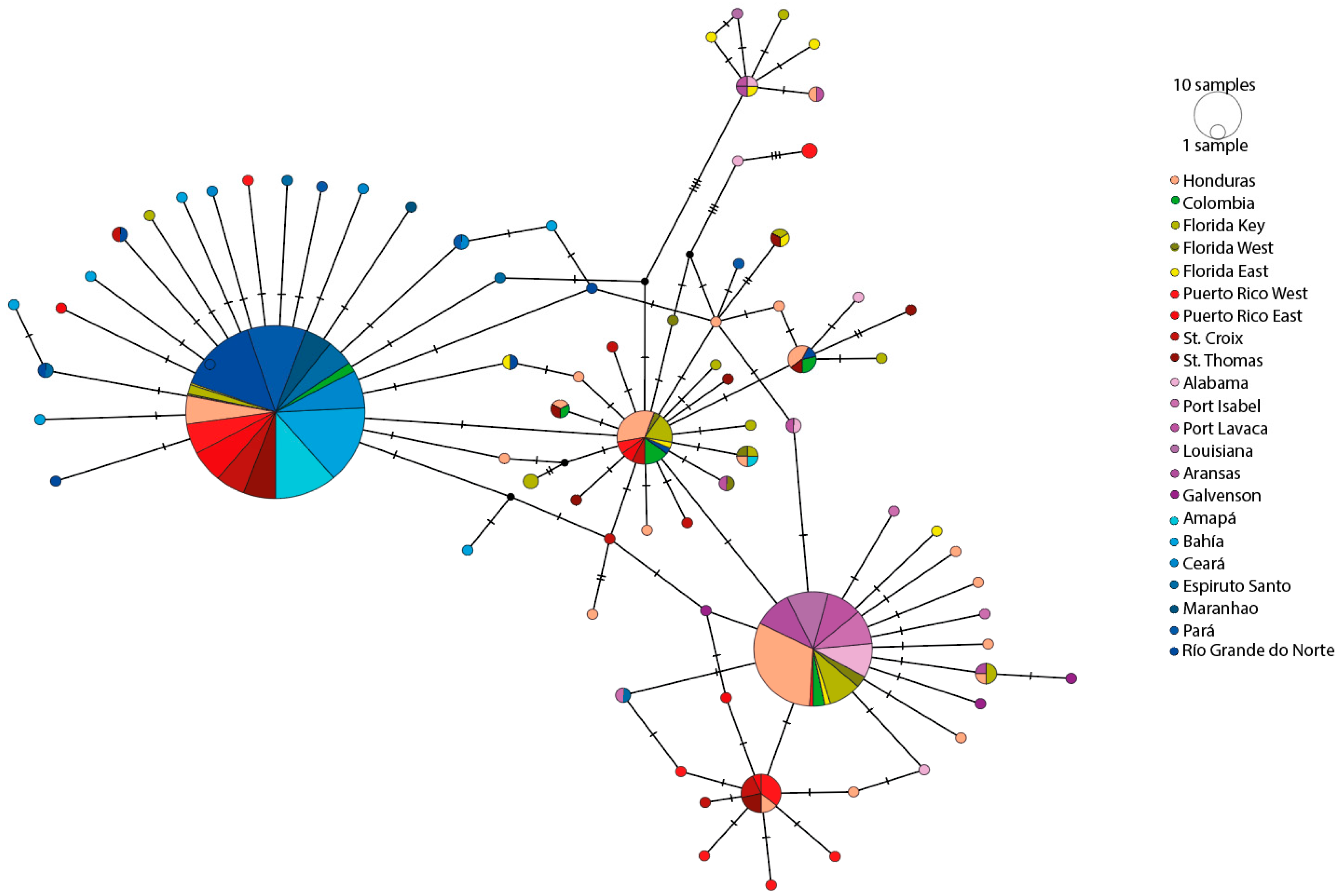 Diversity 16 00336 g003