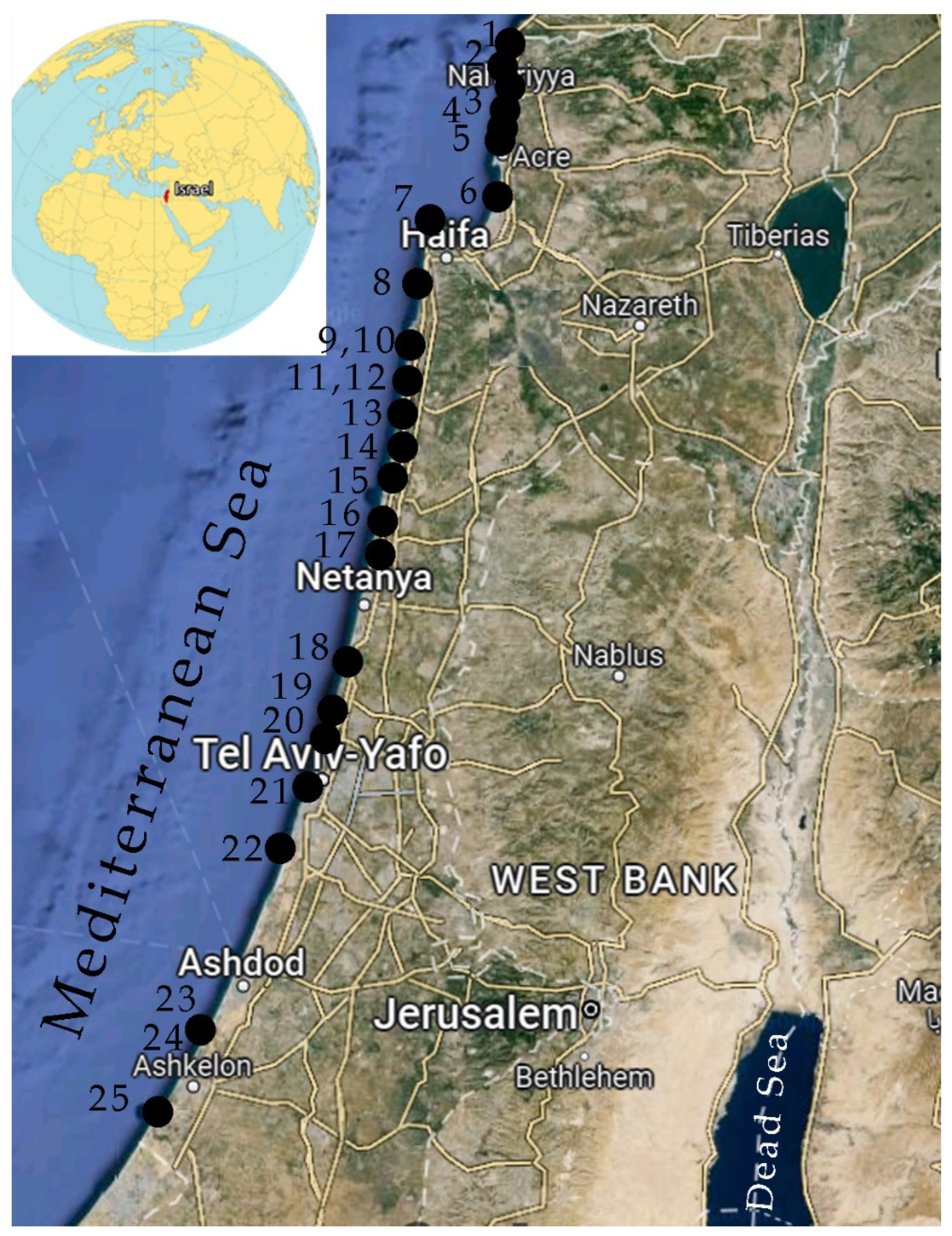 Diversity 16 00338 g001