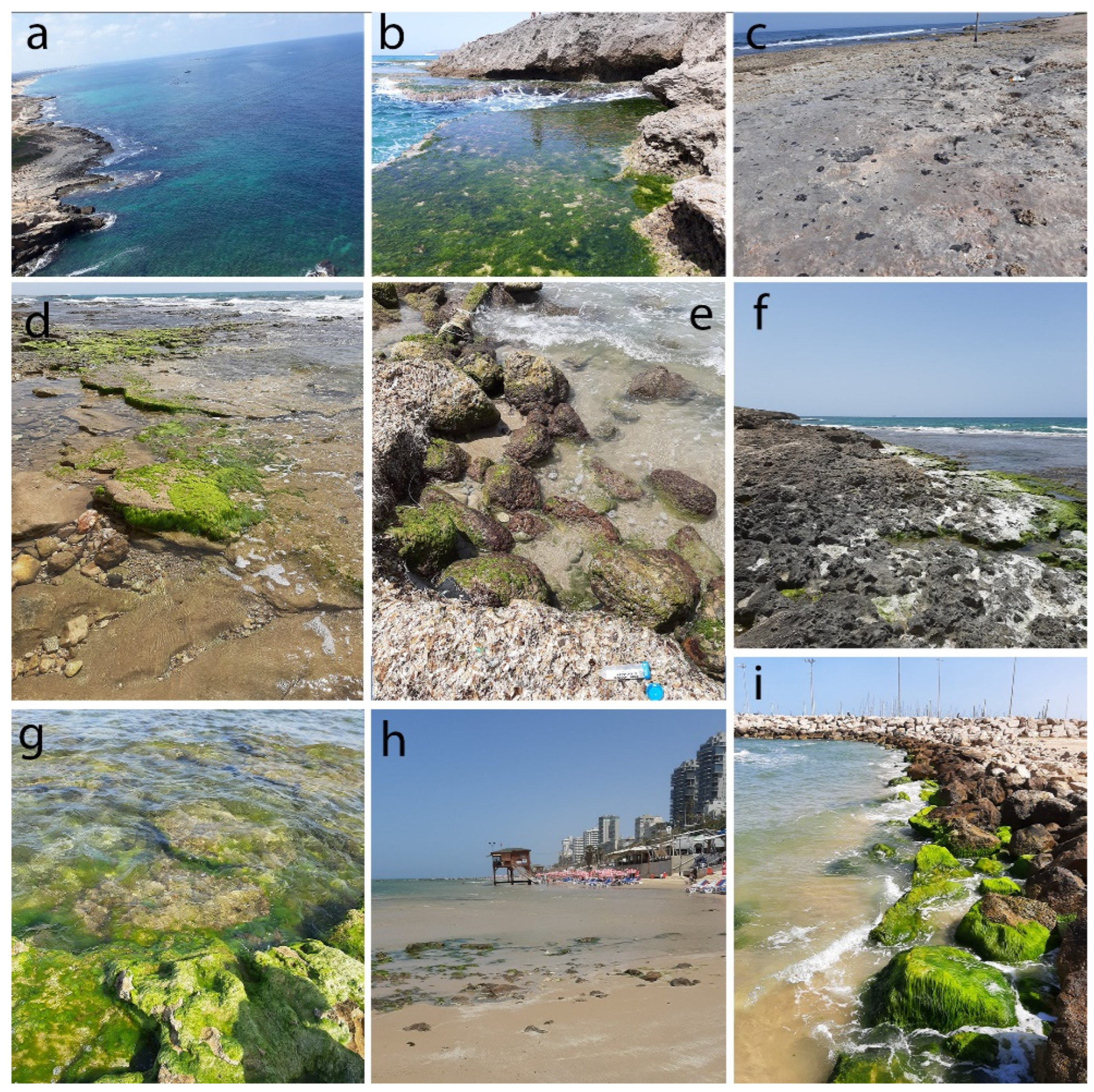 Diversity 16 00338 g002