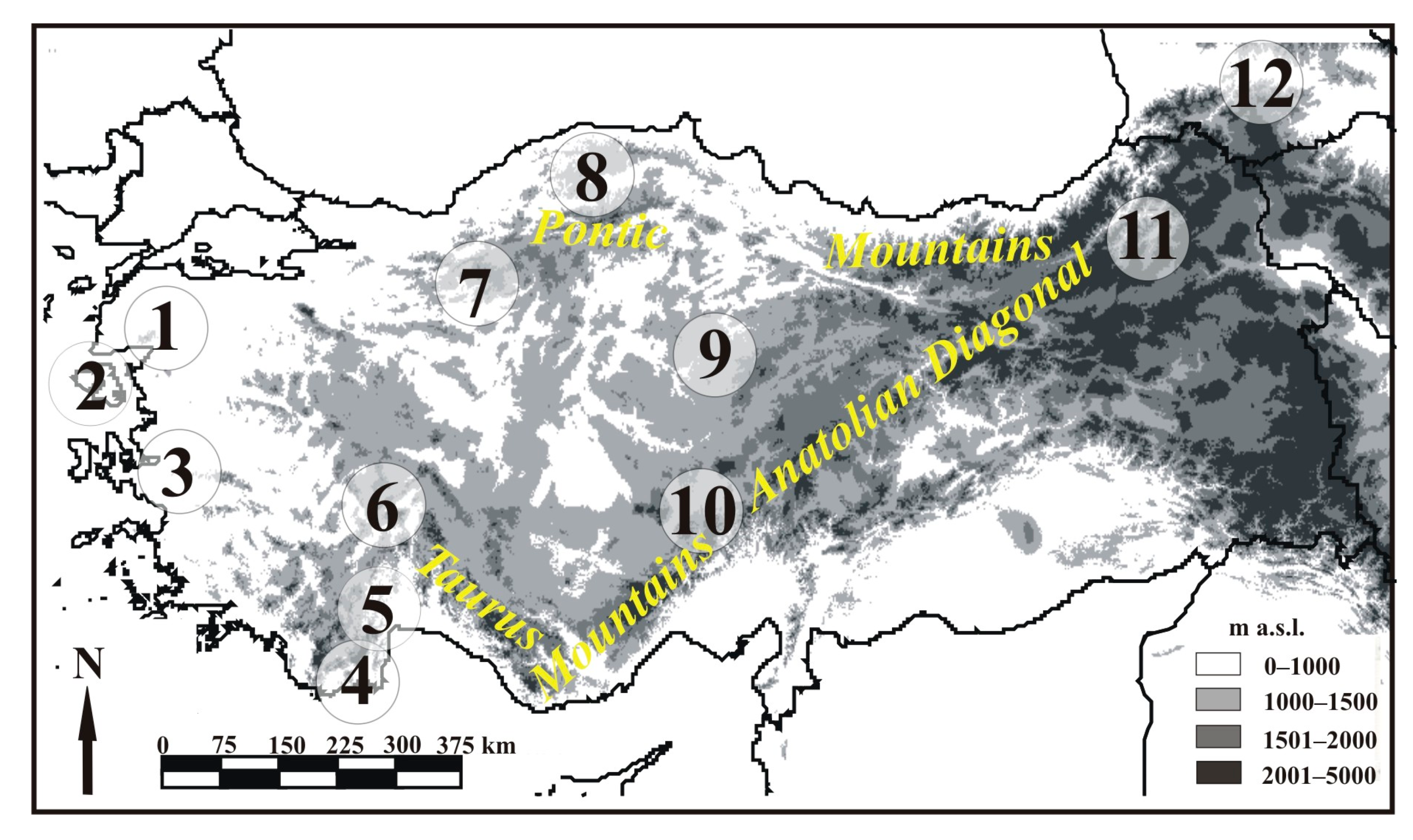 Diversity 16 00339 g001