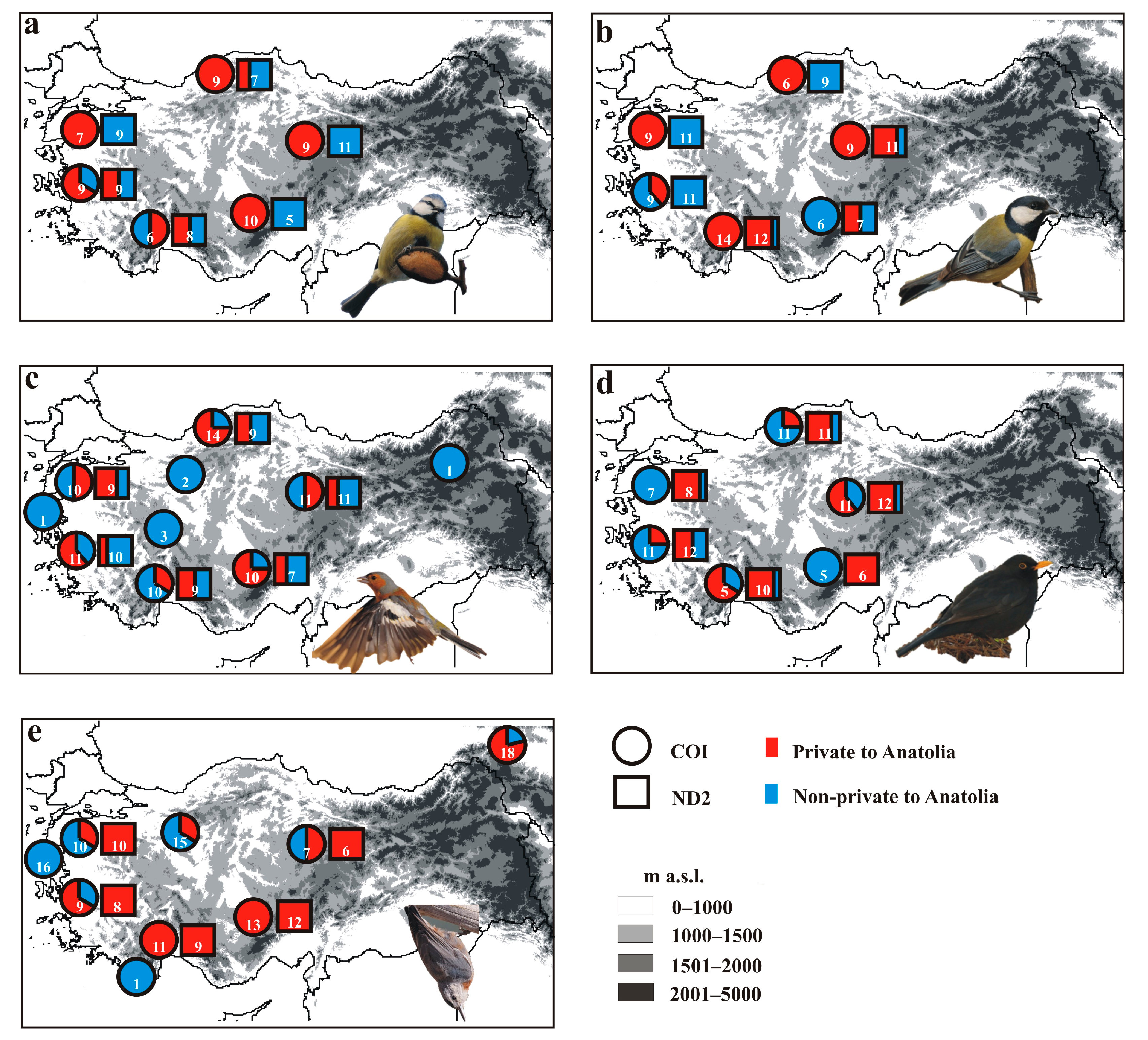 Diversity 16 00339 g004