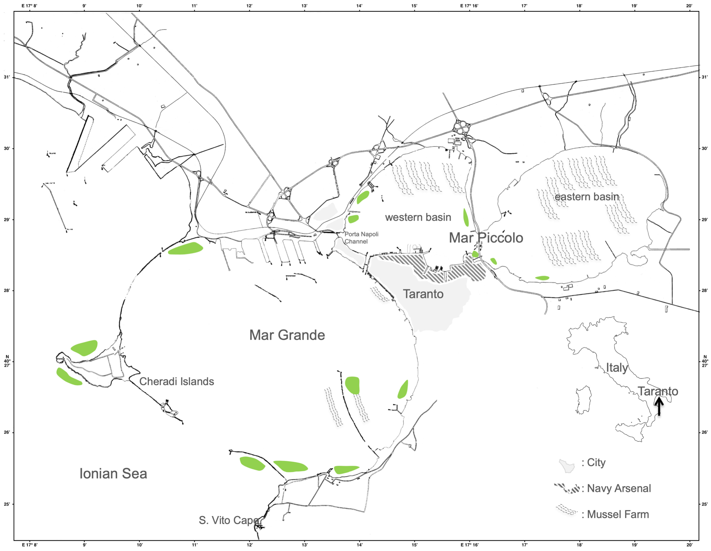 Diversity 16 00341 g002