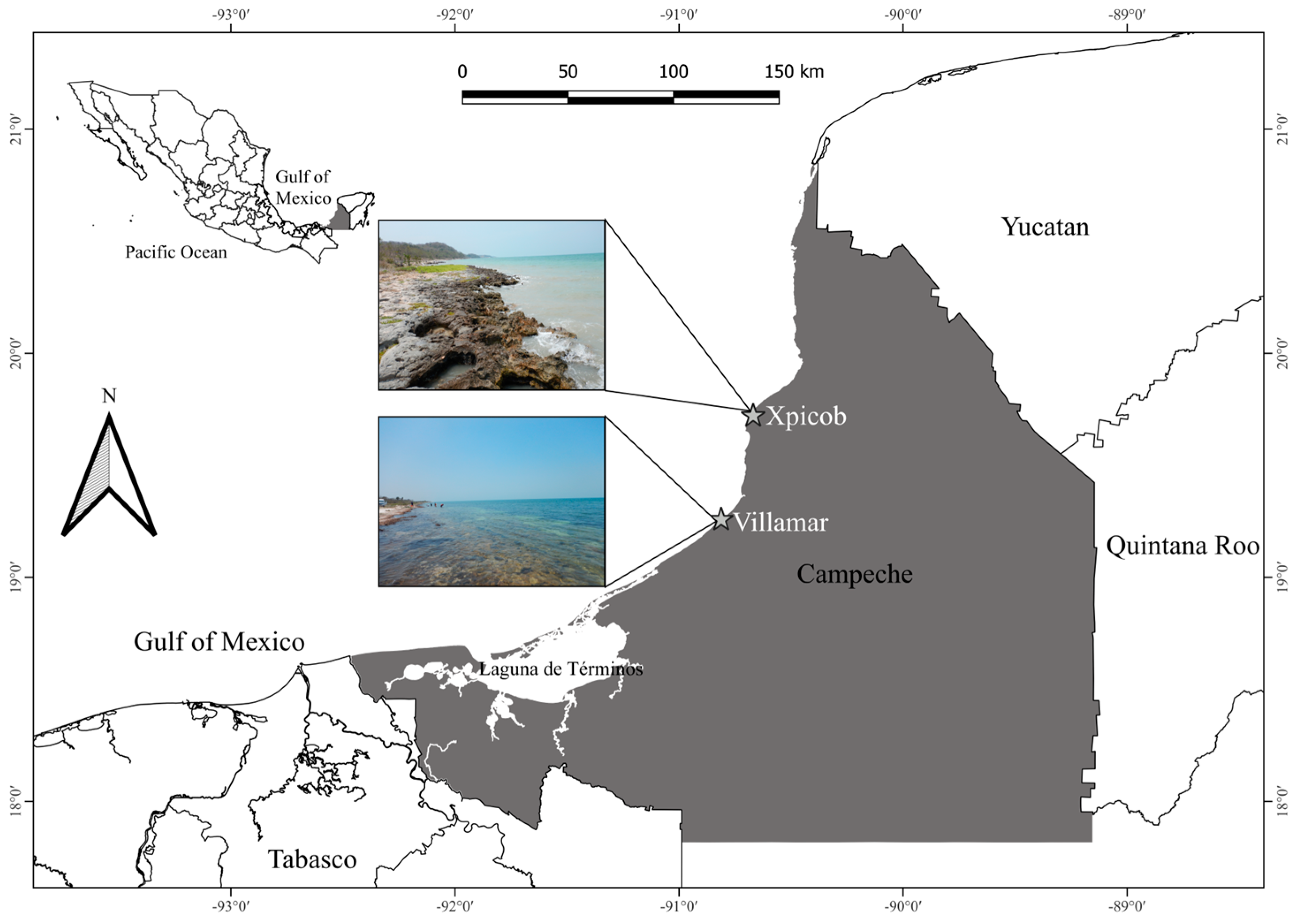 Diversity 16 00344 g001 Diversity 16 00344 g001