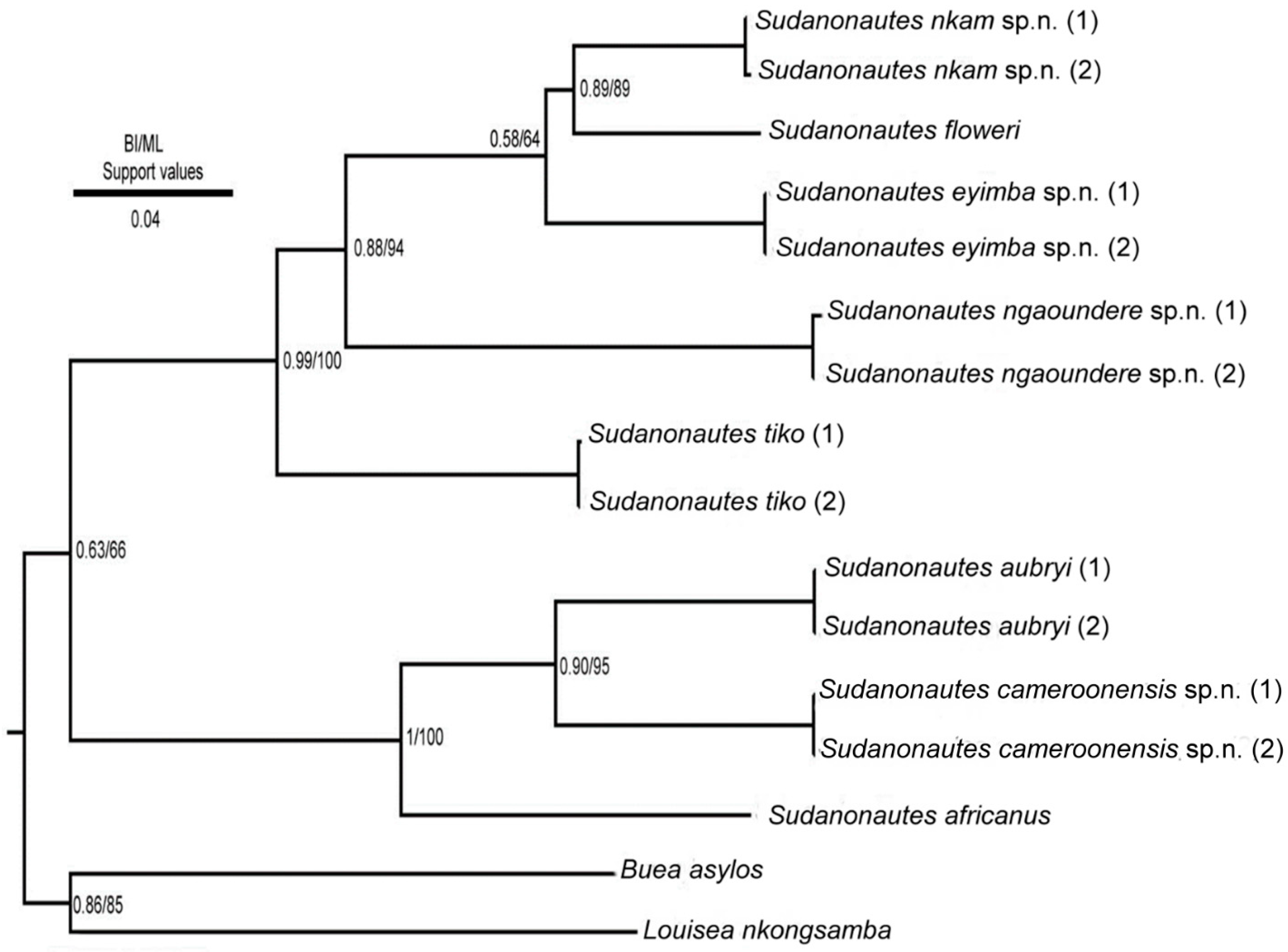 Diversity 16 00345 g007