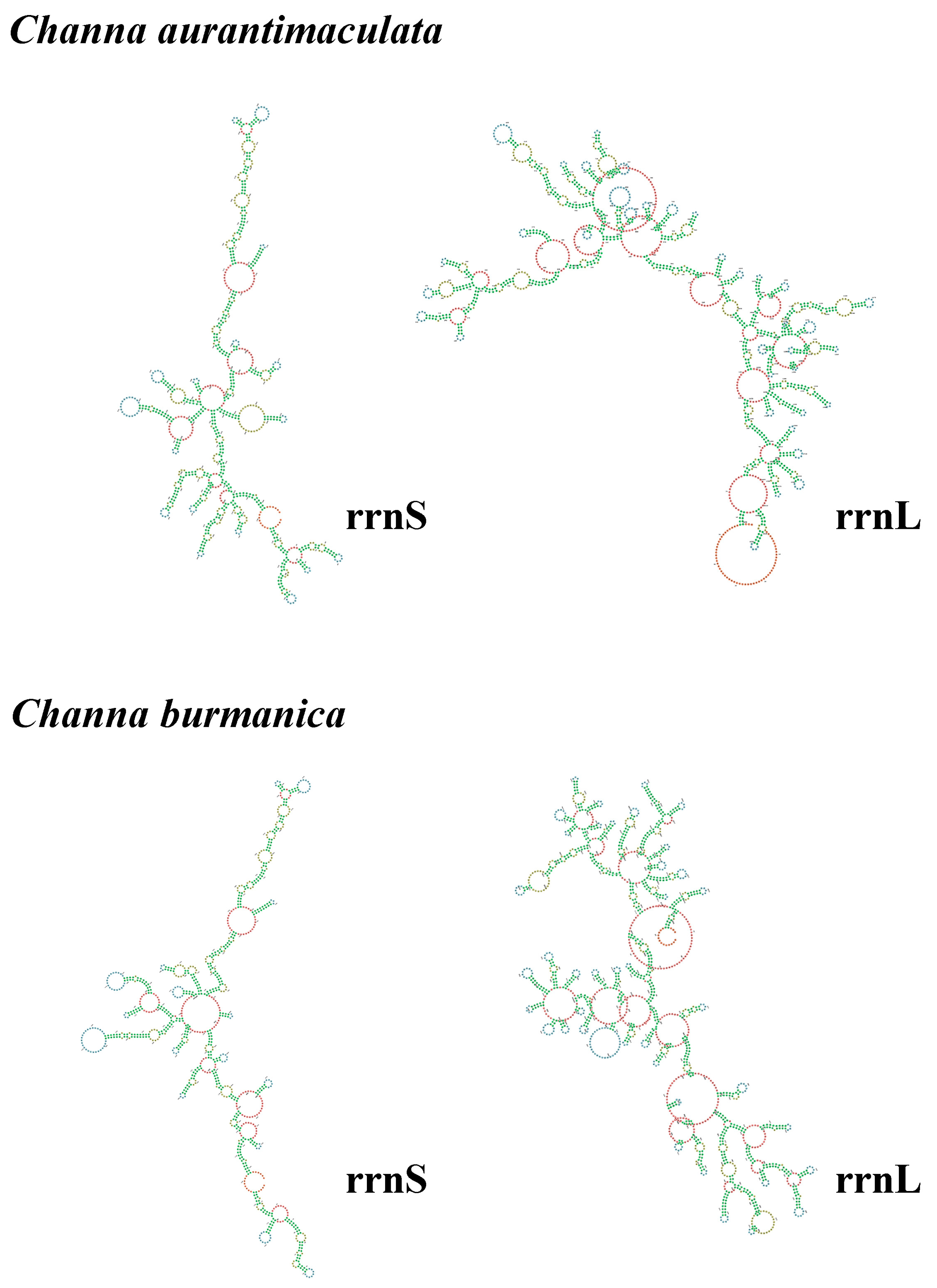 Diversity 16 00346 g006