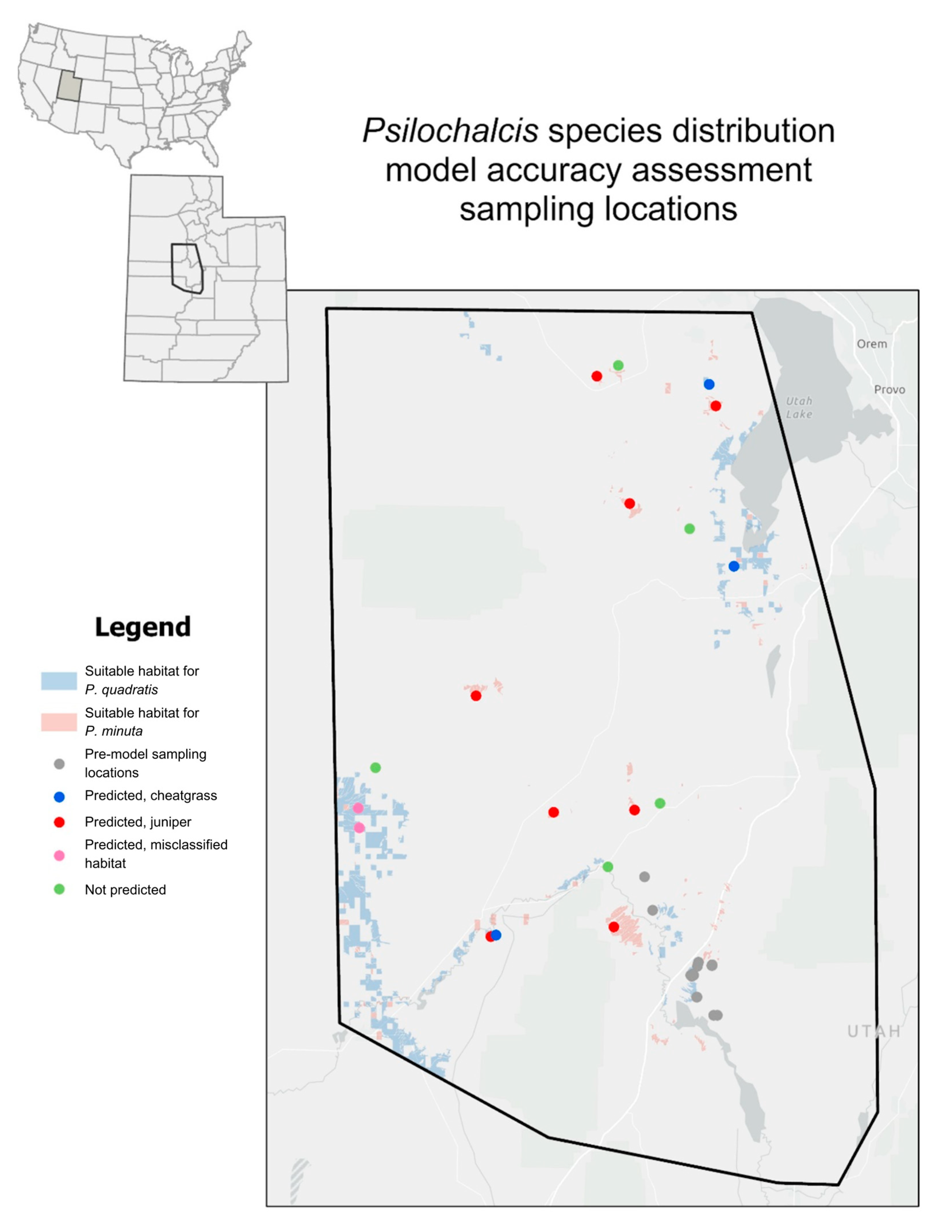 Diversity 16 00348 g002