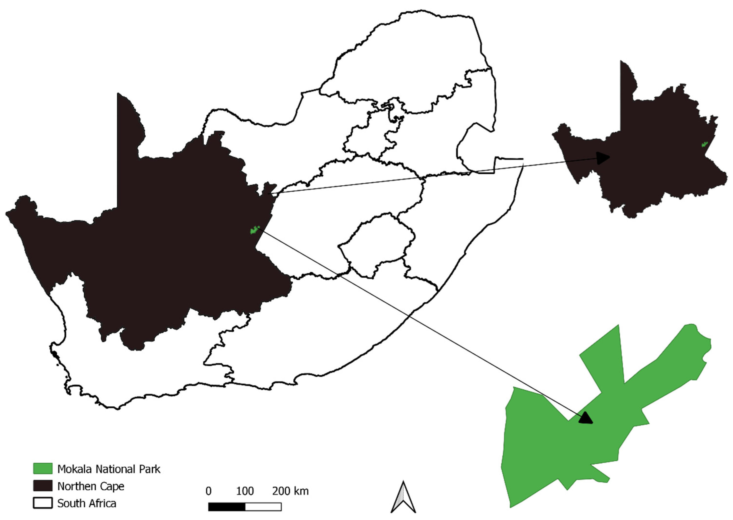 Diversity 16 00355 g001