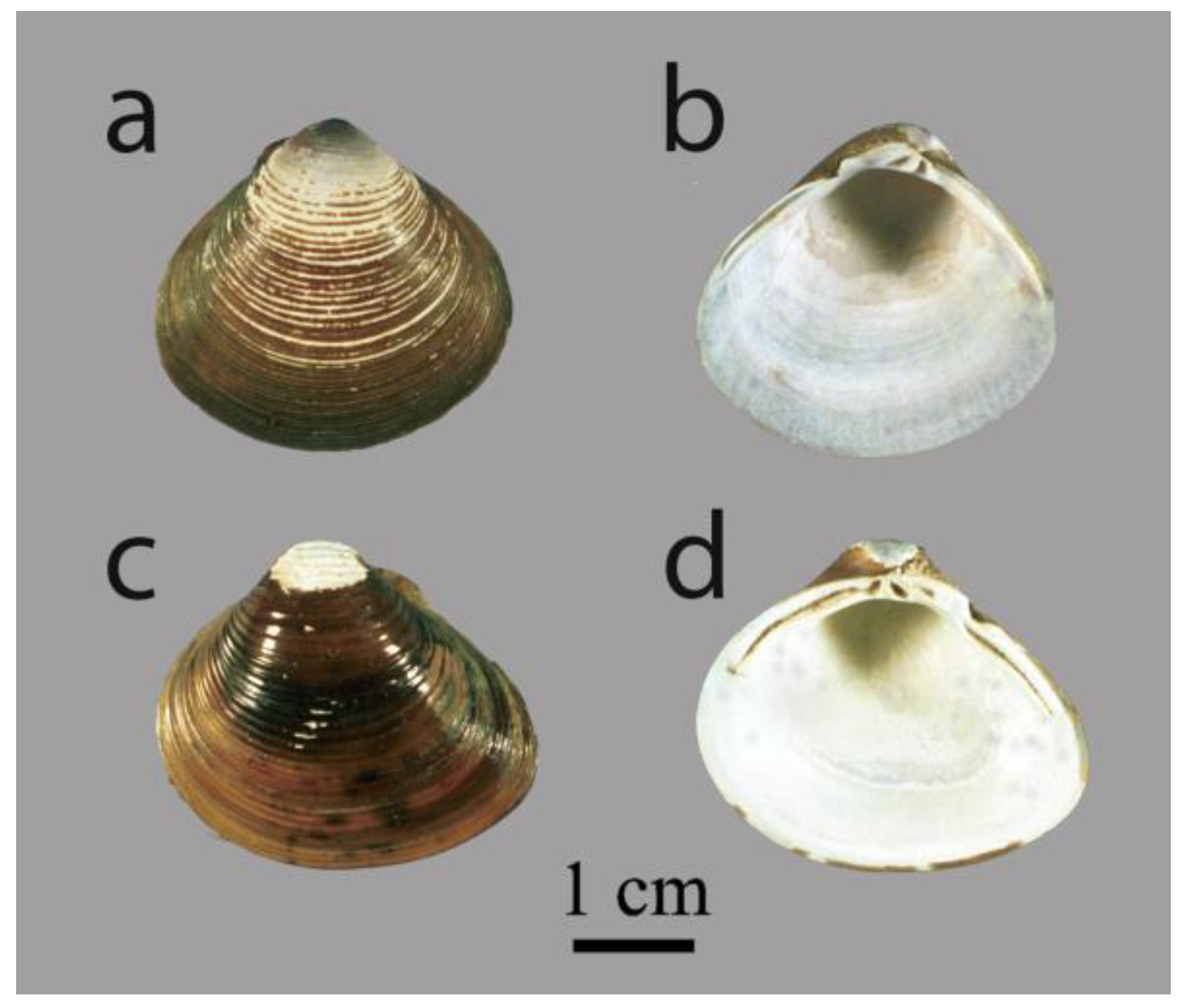 Diversity 16 00357 g001 Diversity 16 00357 g001