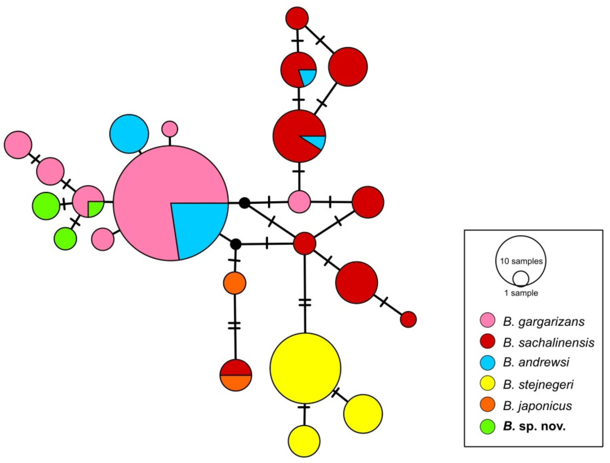Diversity 16 00361 g003