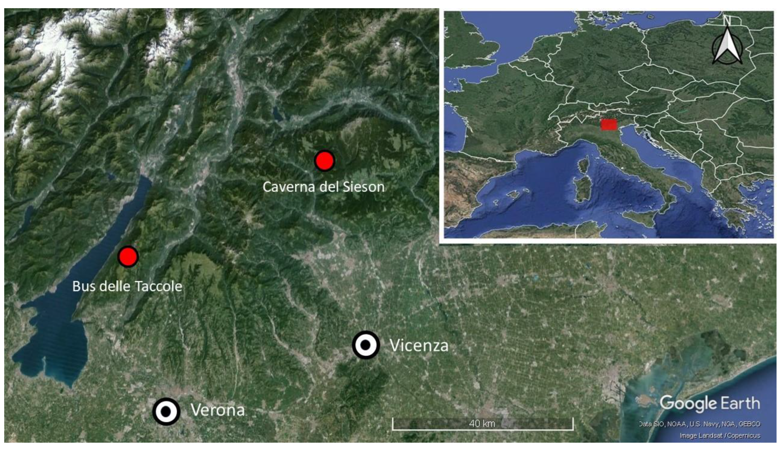 Diversity 16 00364 g001