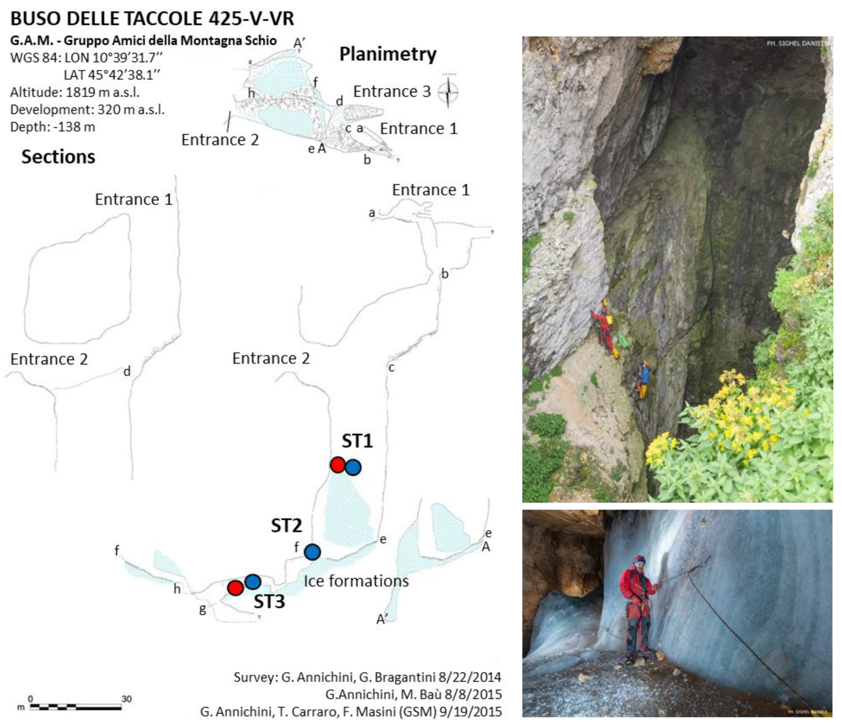 Diversity 16 00364 g002