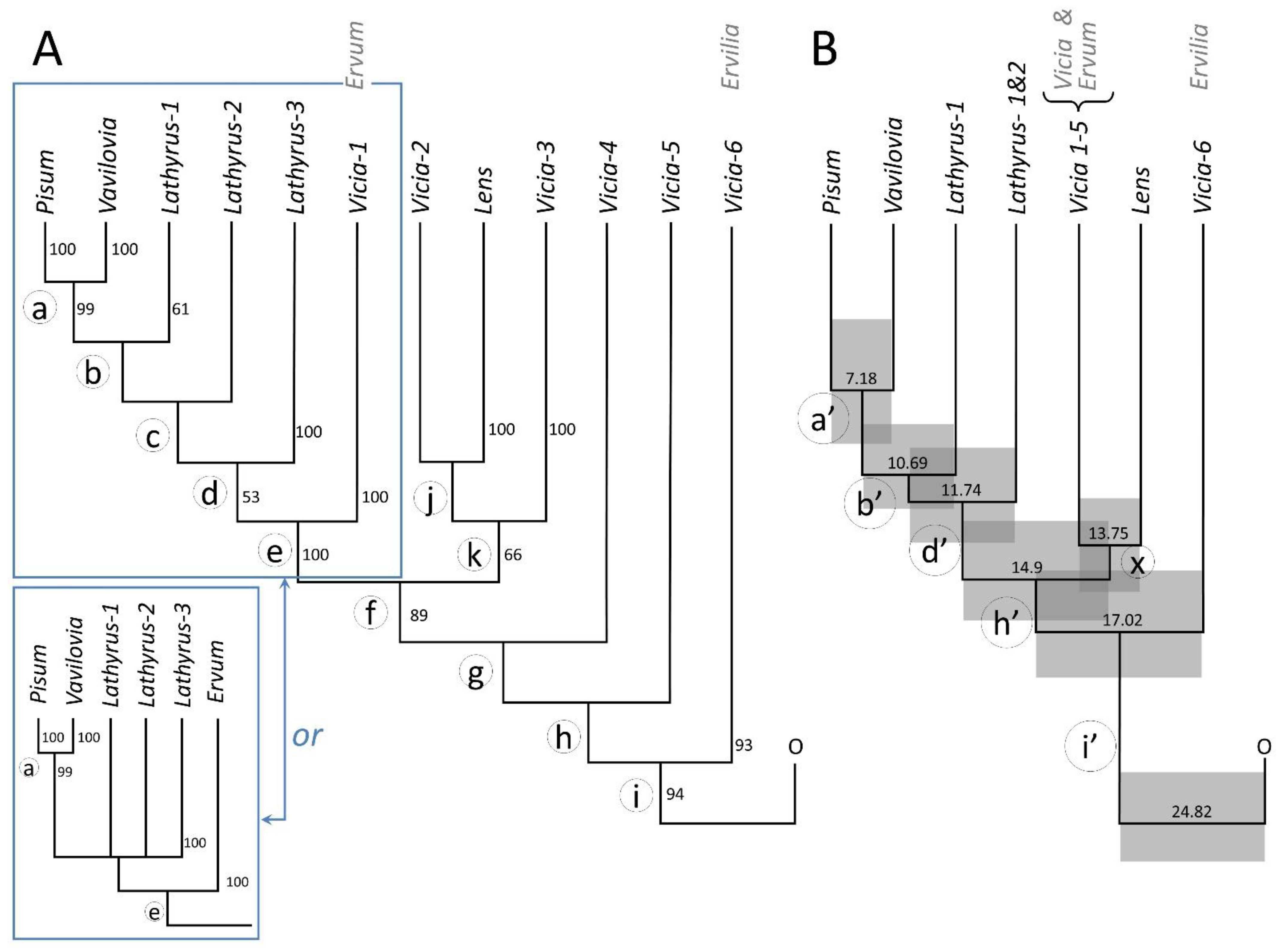 Diversity 16 00365 g001