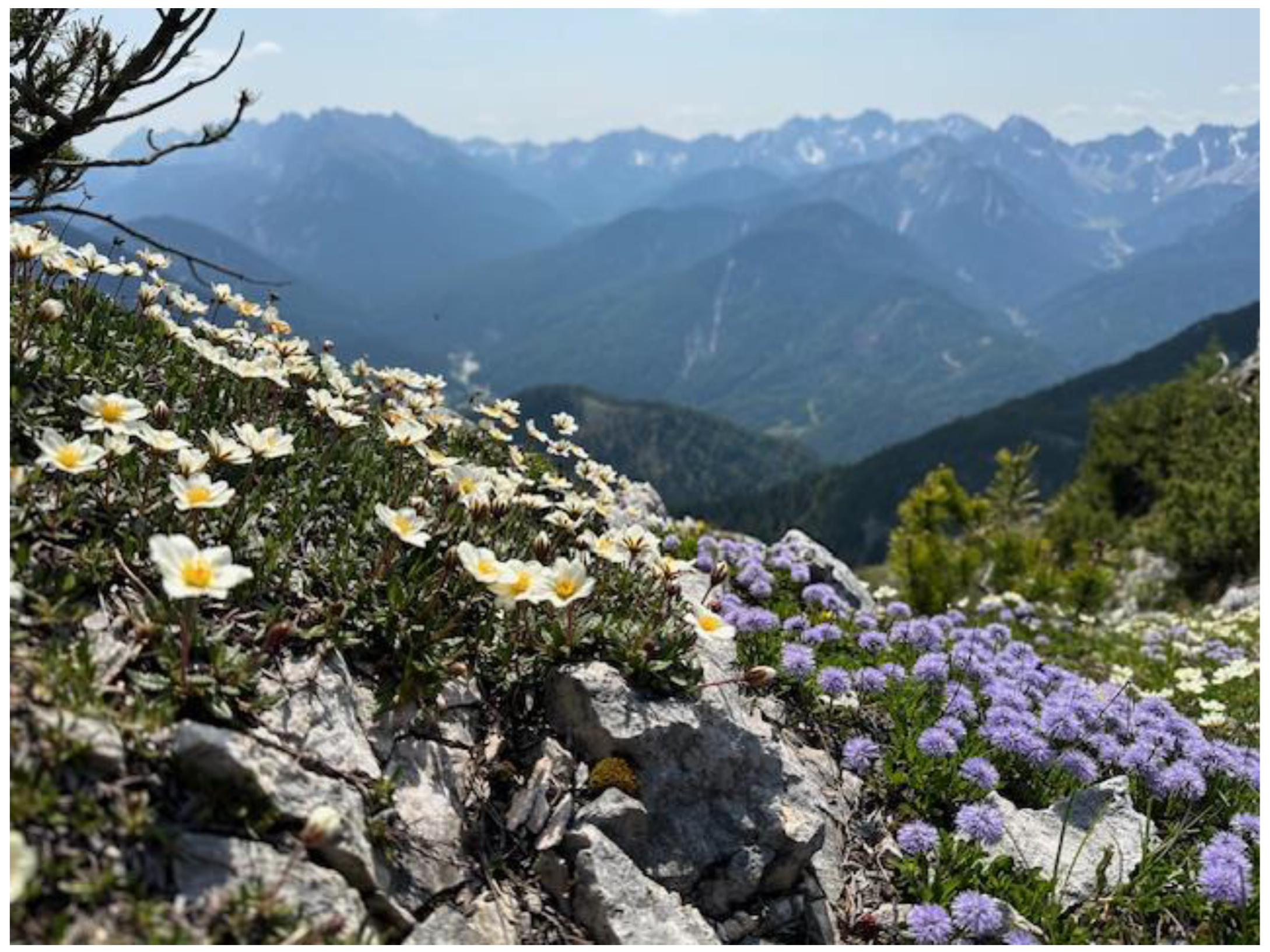 Diversity 16 00366 g005 Diversity 16 00366 g005