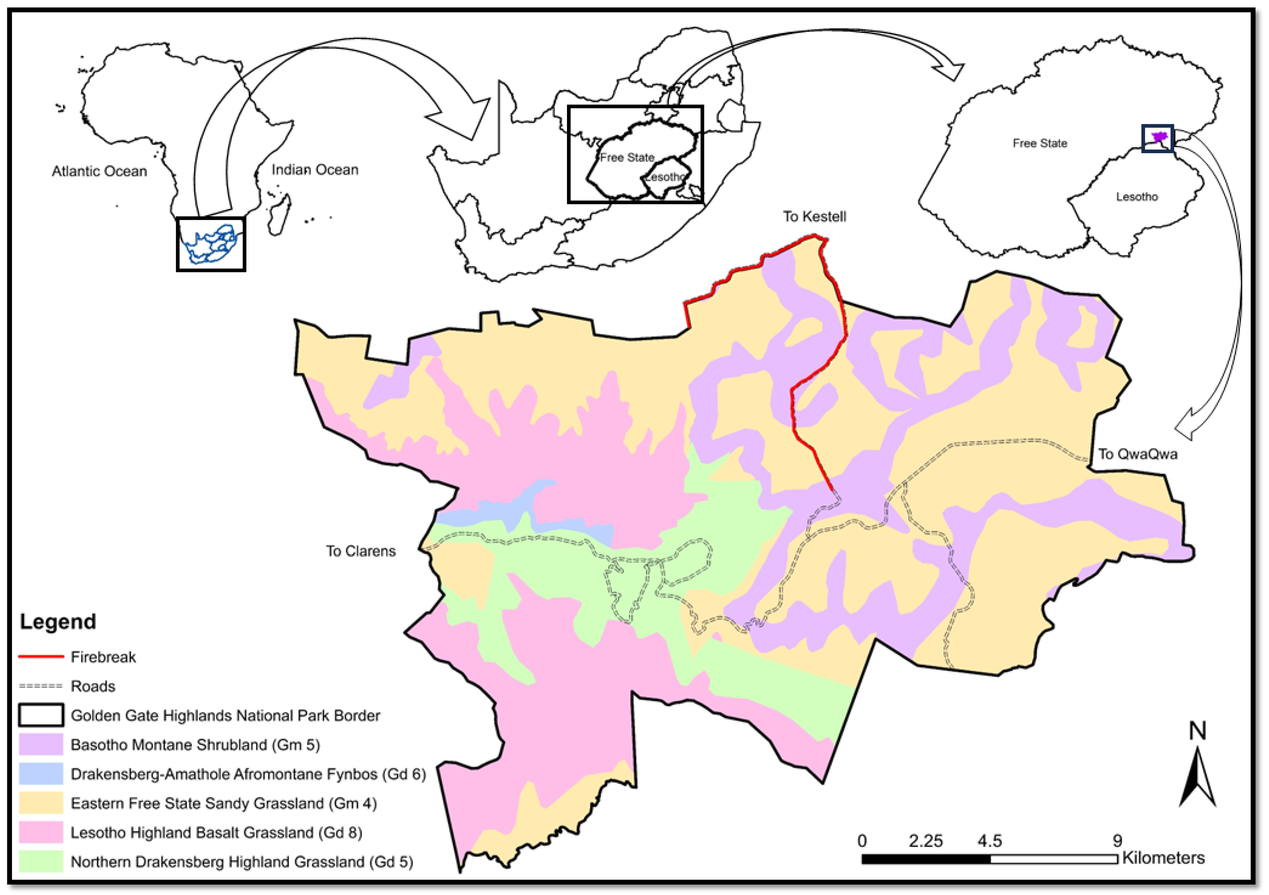 Diversity 16 00373 g001