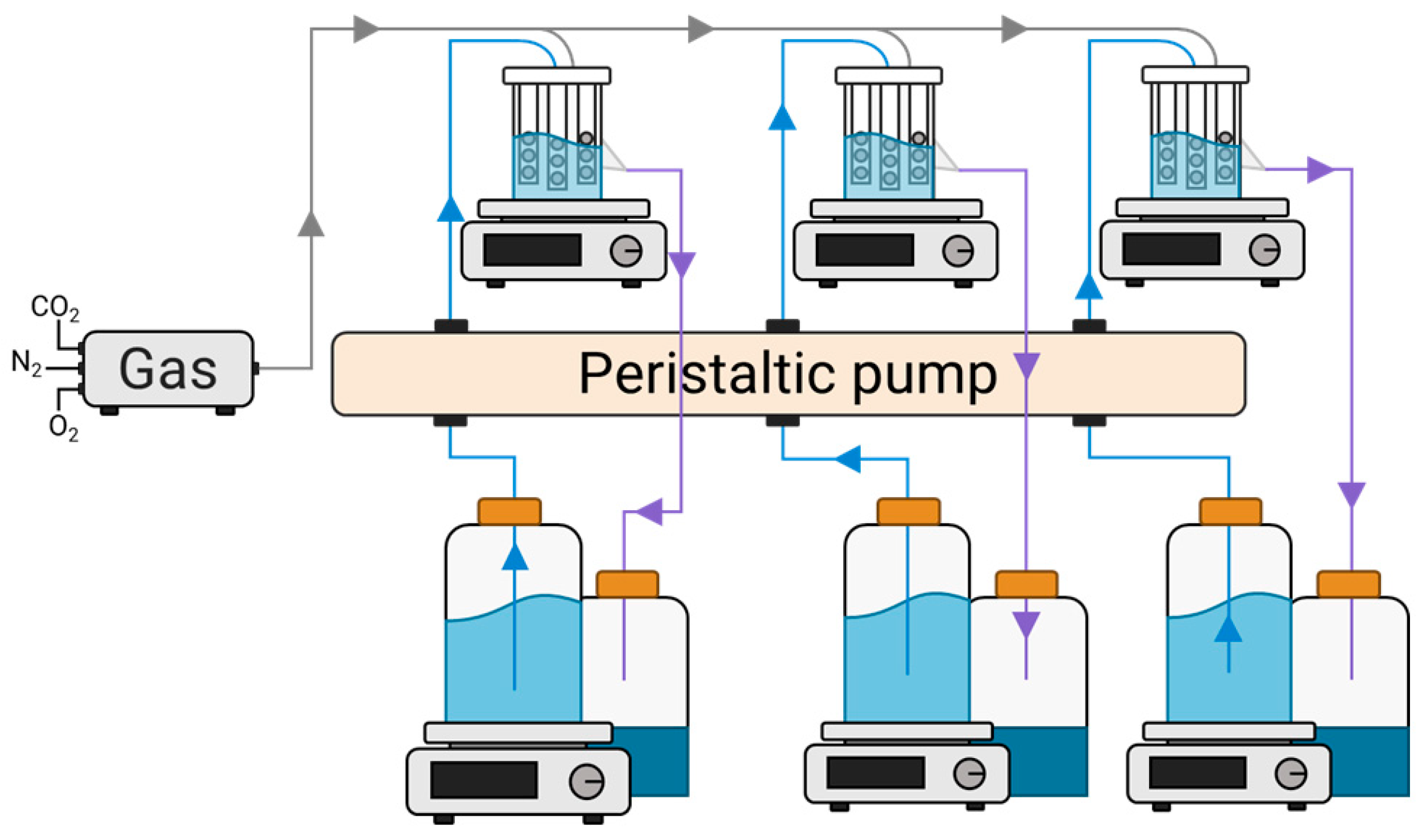 Diversity 16 00374 g002