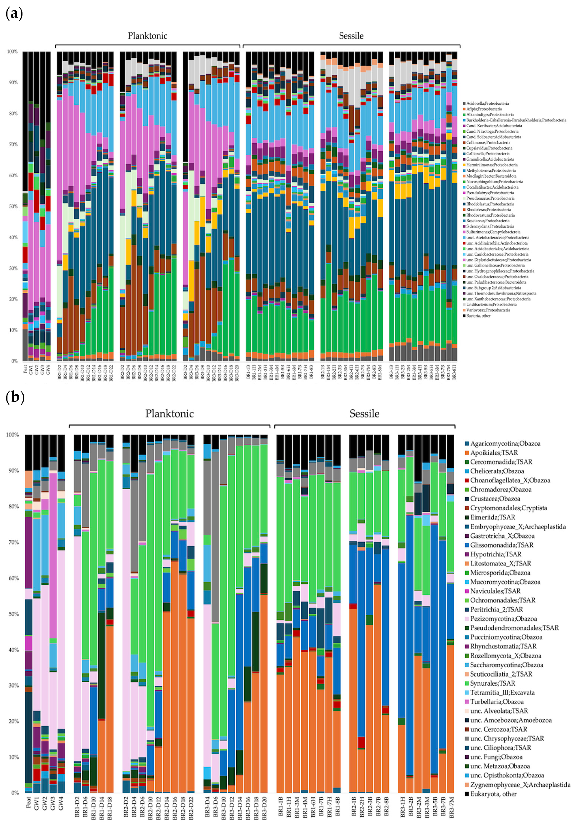 Diversity 16 00374 g005a