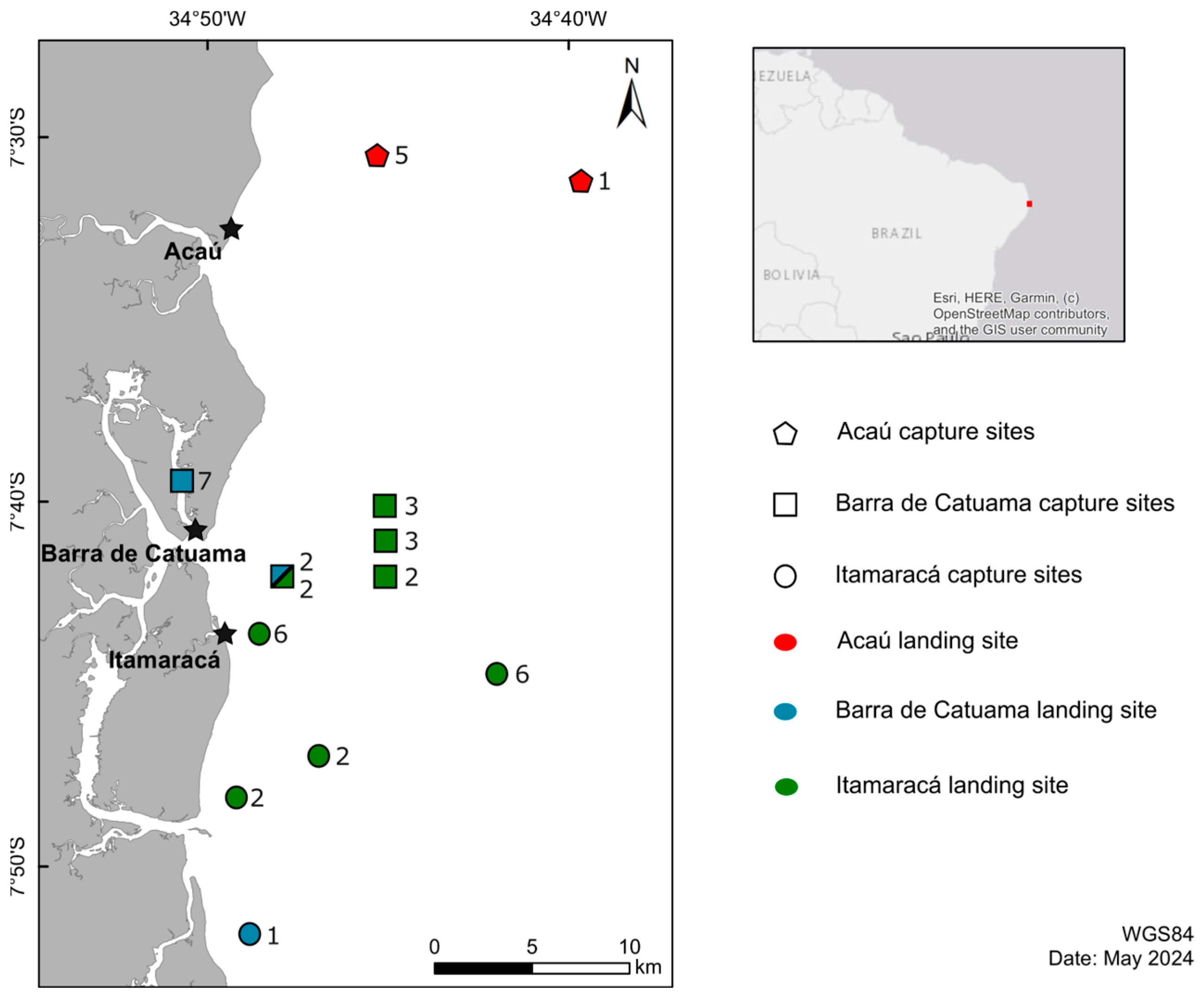 Diversity 16 00377 g001