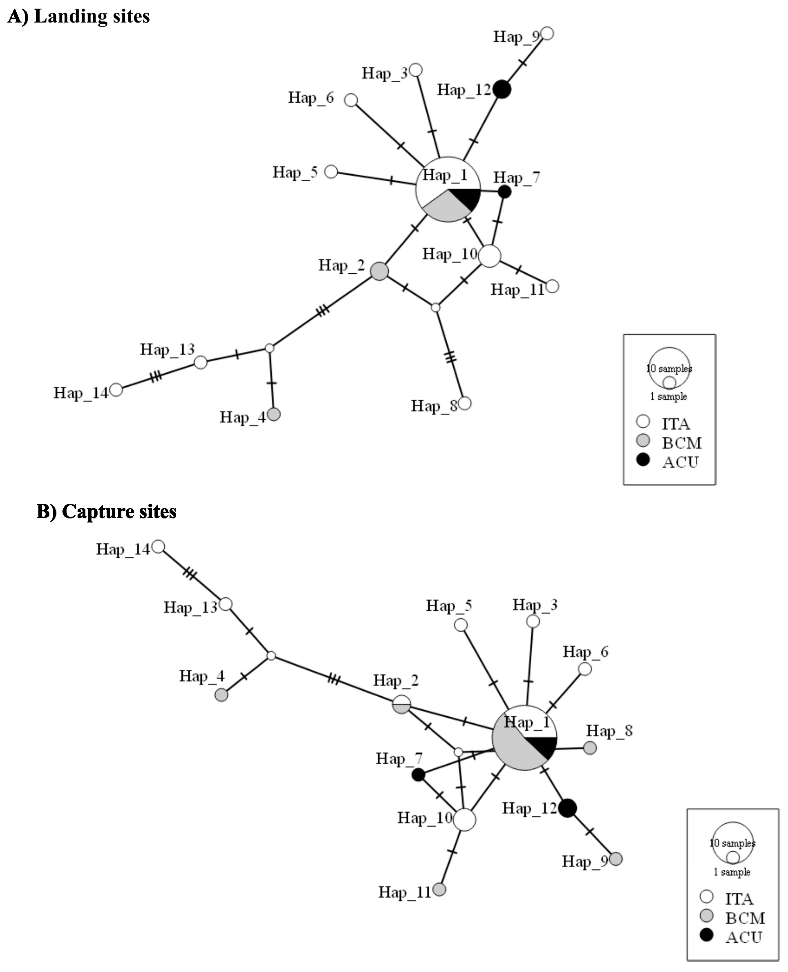 Diversity 16 00377 g002