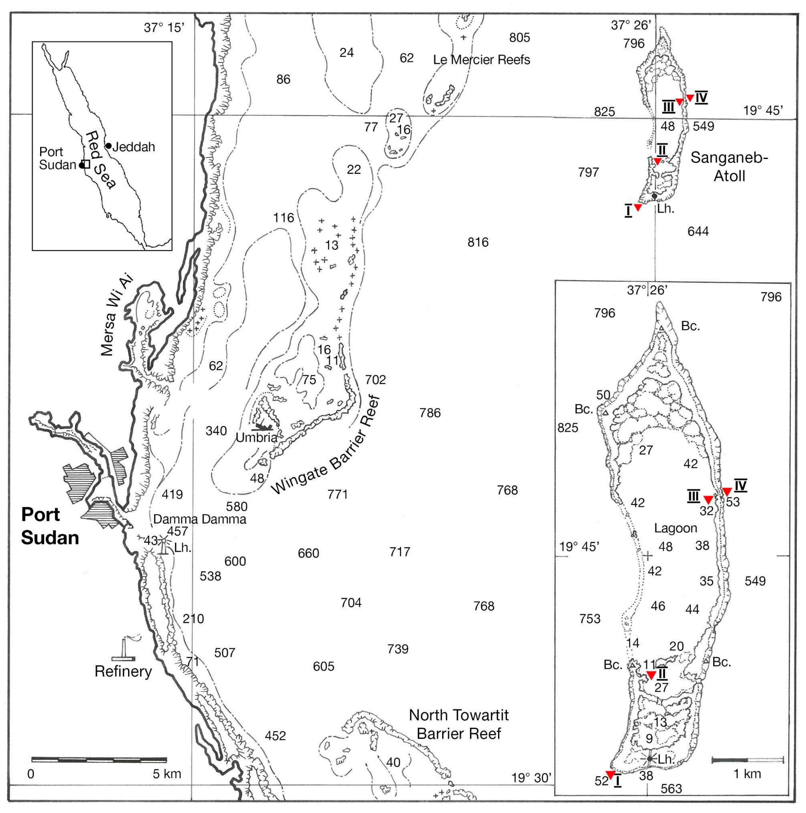 Diversity 16 00379 g001 Diversity 16 00379 g001