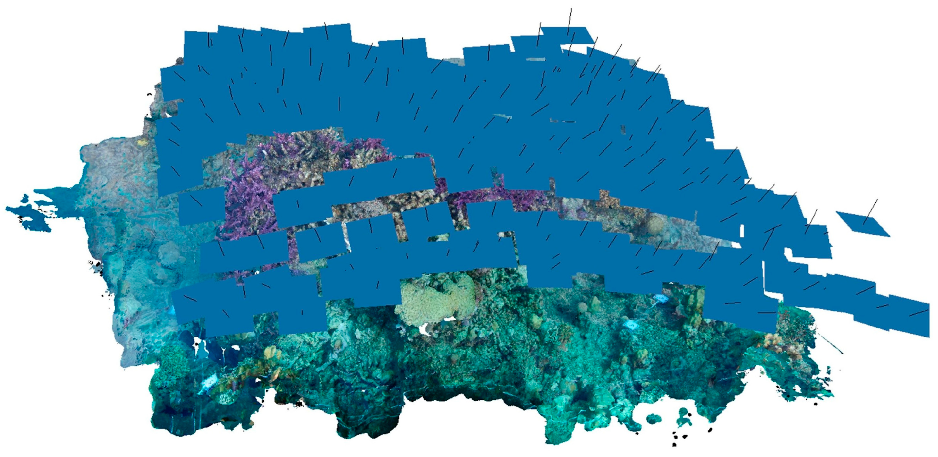 Diversity 16 00379 g002 Diversity 16 00379 g002