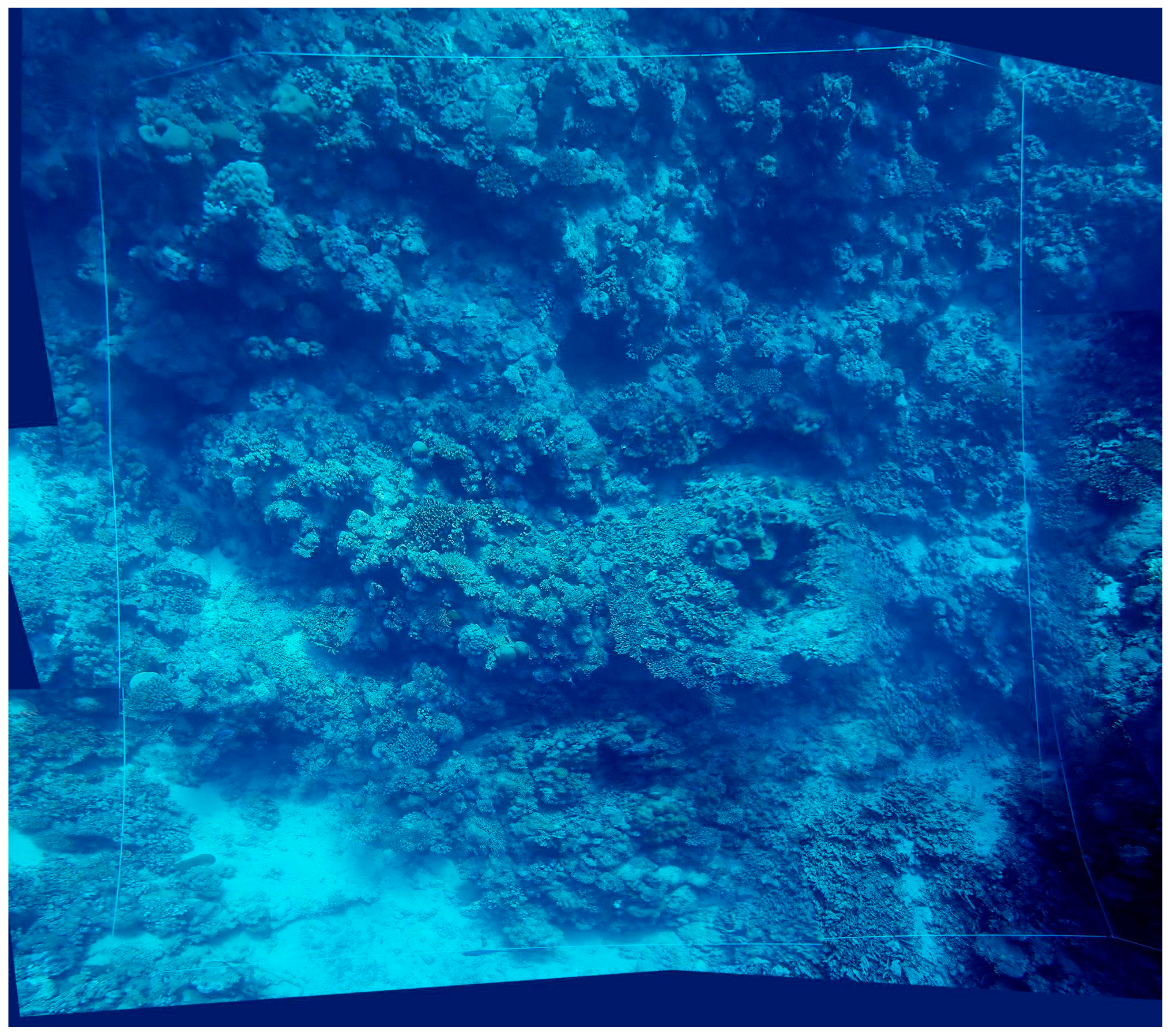 Diversity 16 00379 g004 Diversity 16 00379 g004