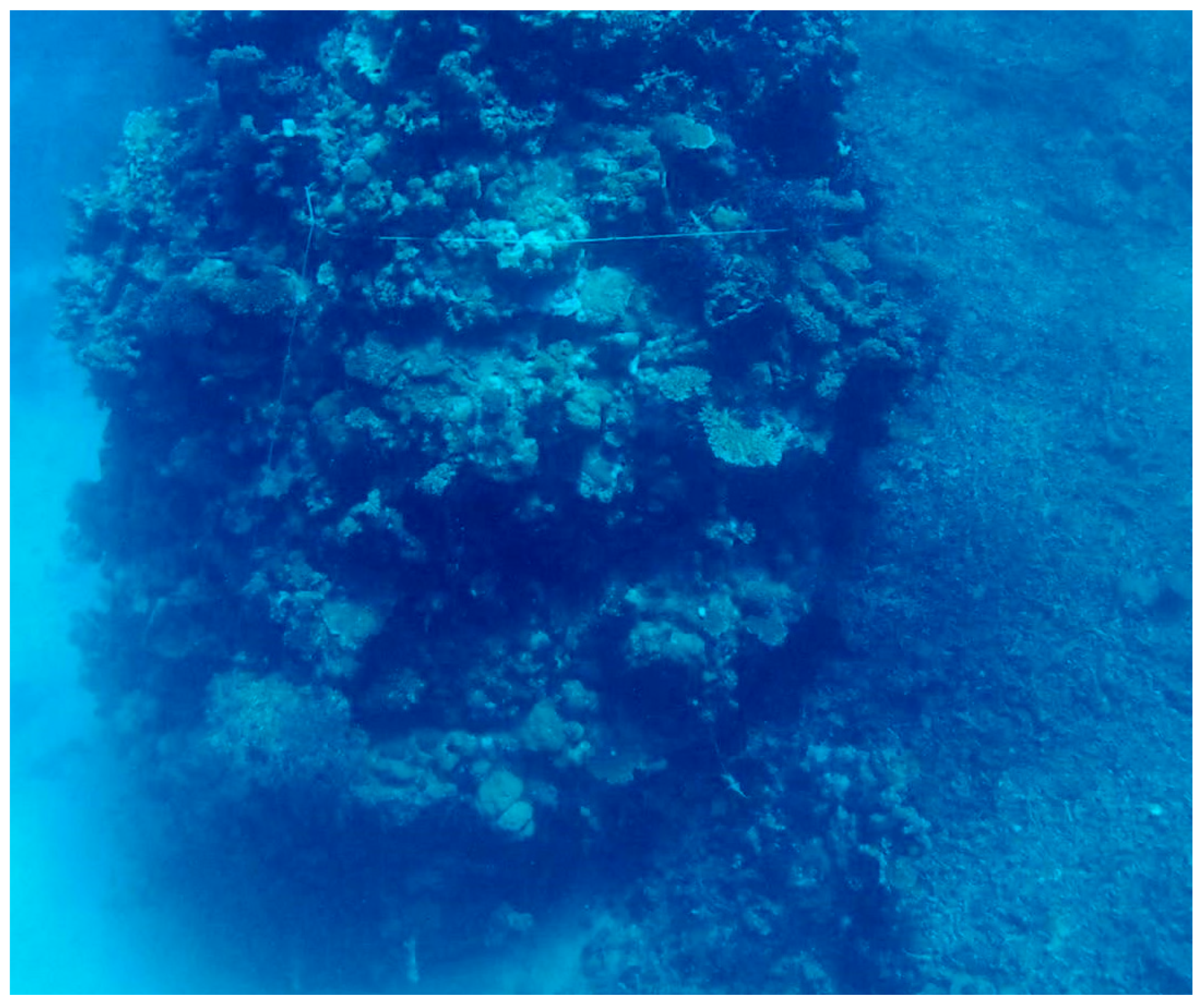 Diversity 16 00379 g006 Diversity 16 00379 g006